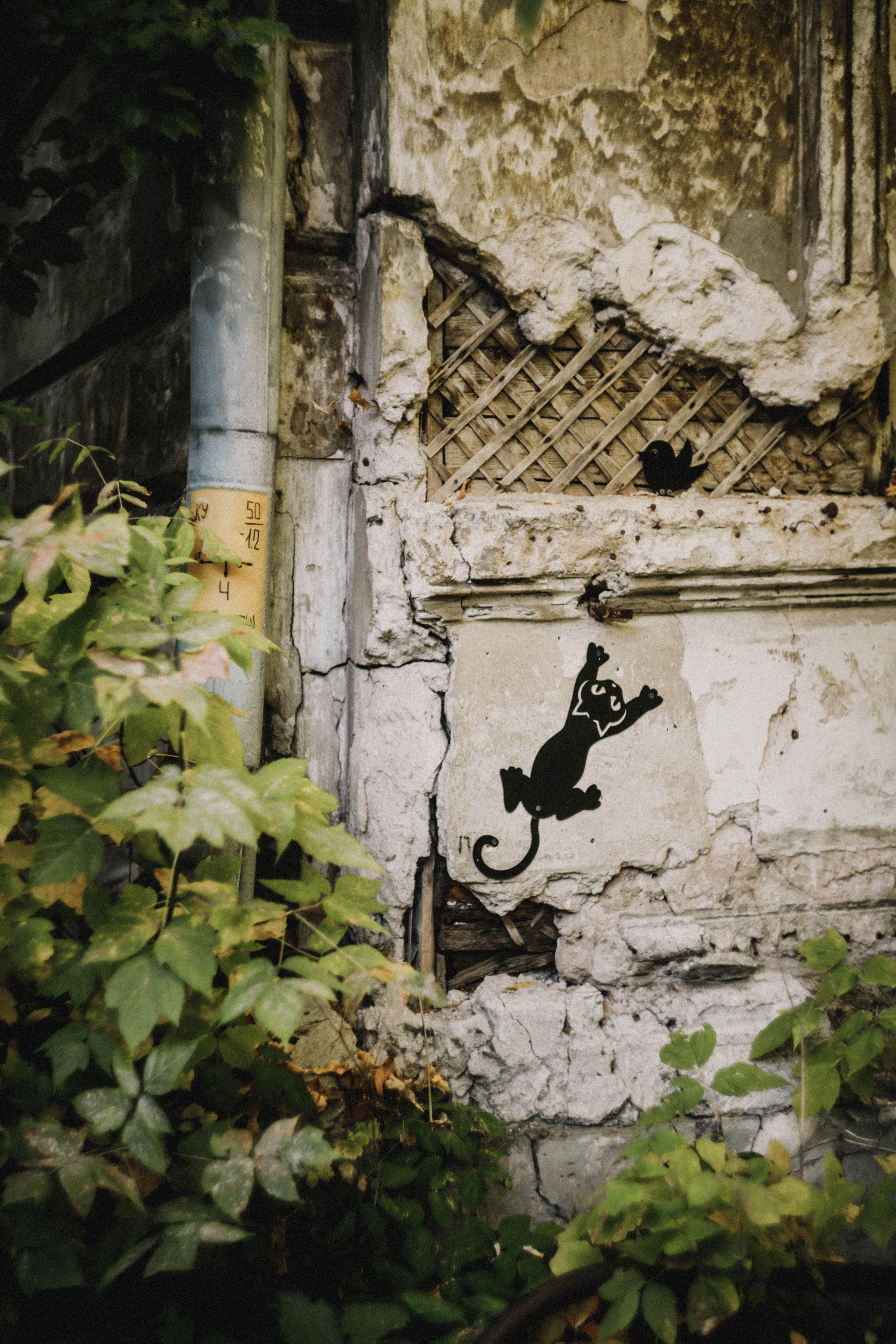Влада. Холодный переулок. Фотограф в Нижнем Новгороде
