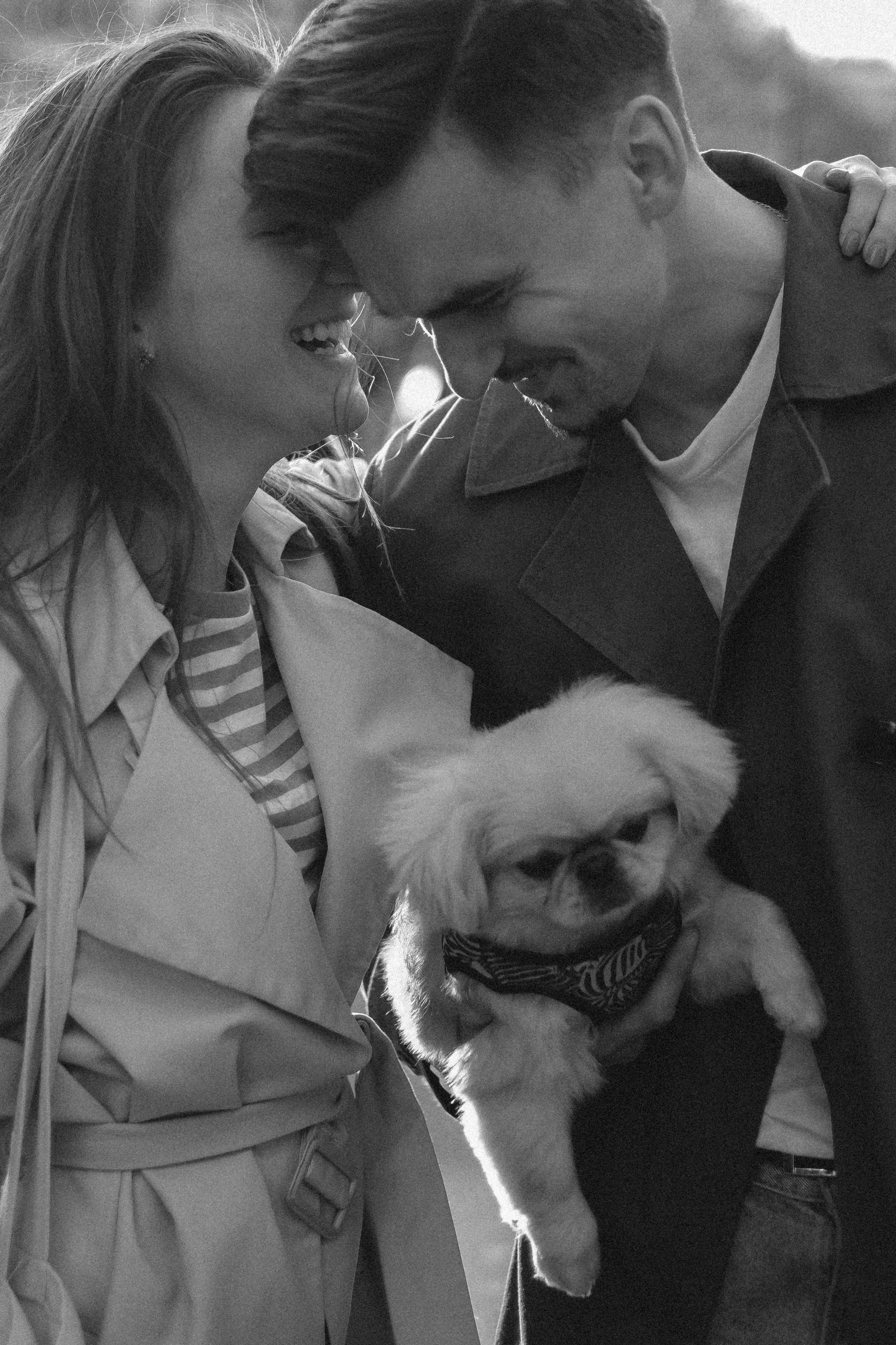 Пекинес. Свадебный и портретный фотограф в Москве, Туле и Брянске Дара Евсеева