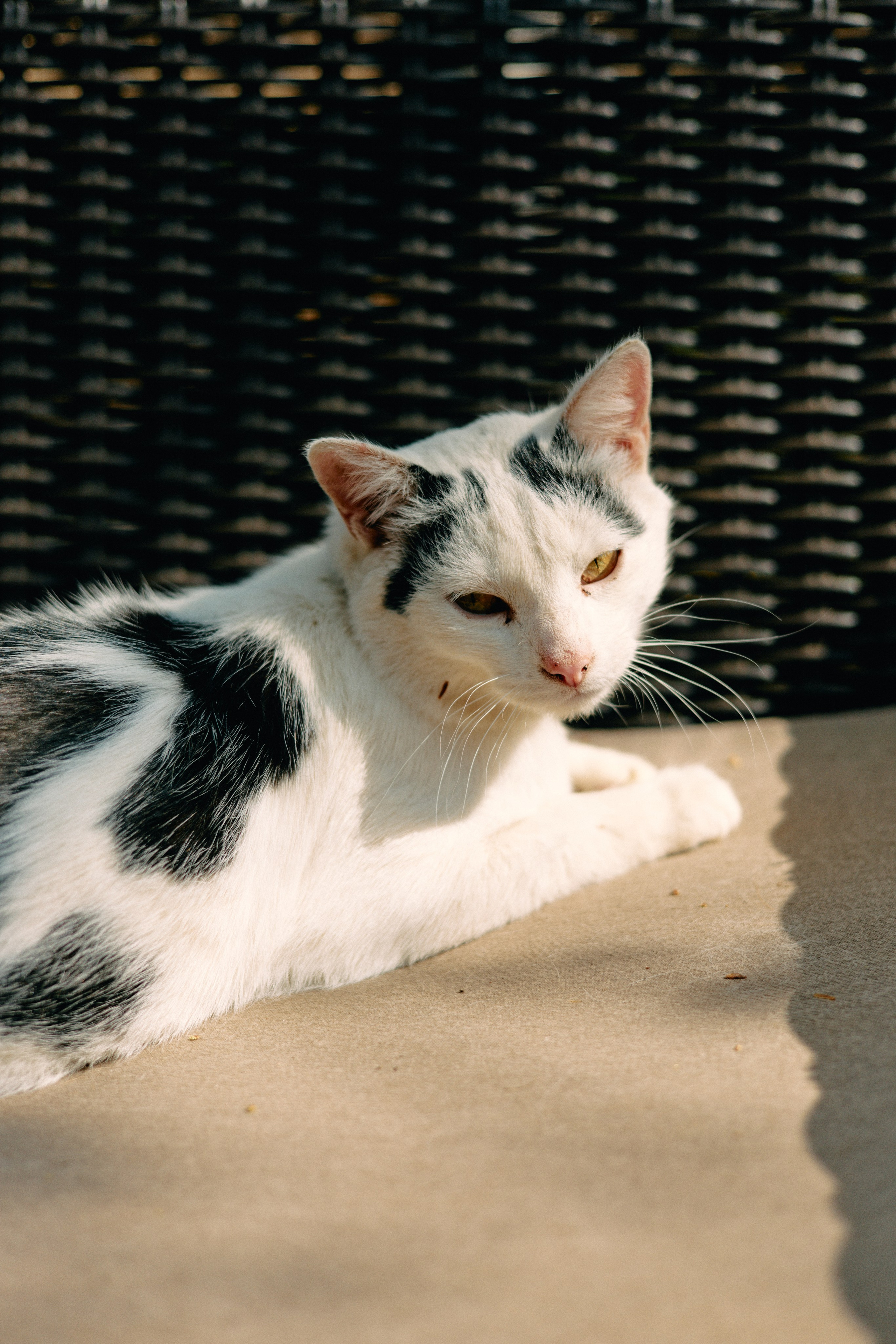 Бутик-отель Поле летом. Профессиональный Фотограф во Владимире, в Москве и в Суздале — Полина Романычева