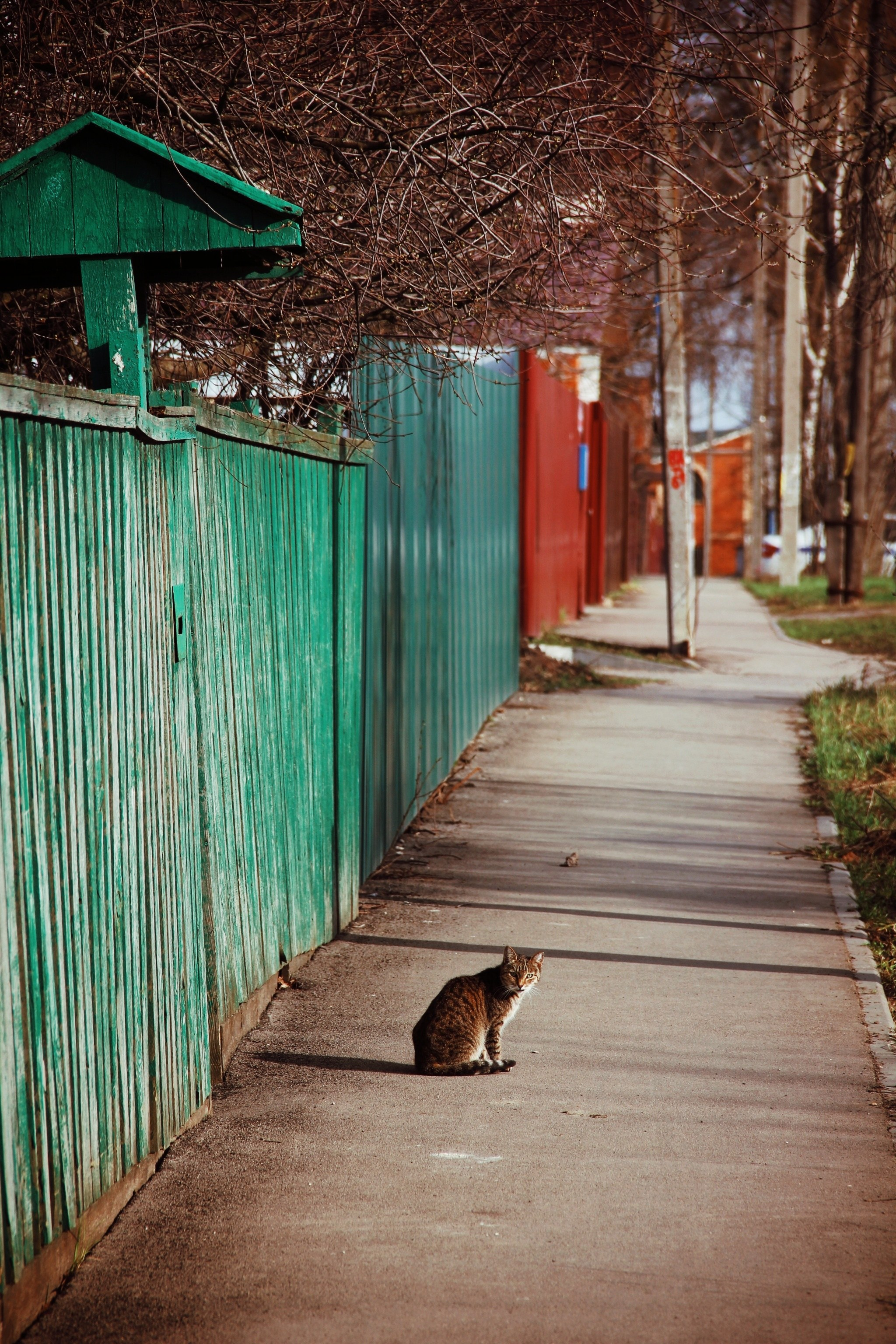 Уличные модели. С любовью, фотохудожник