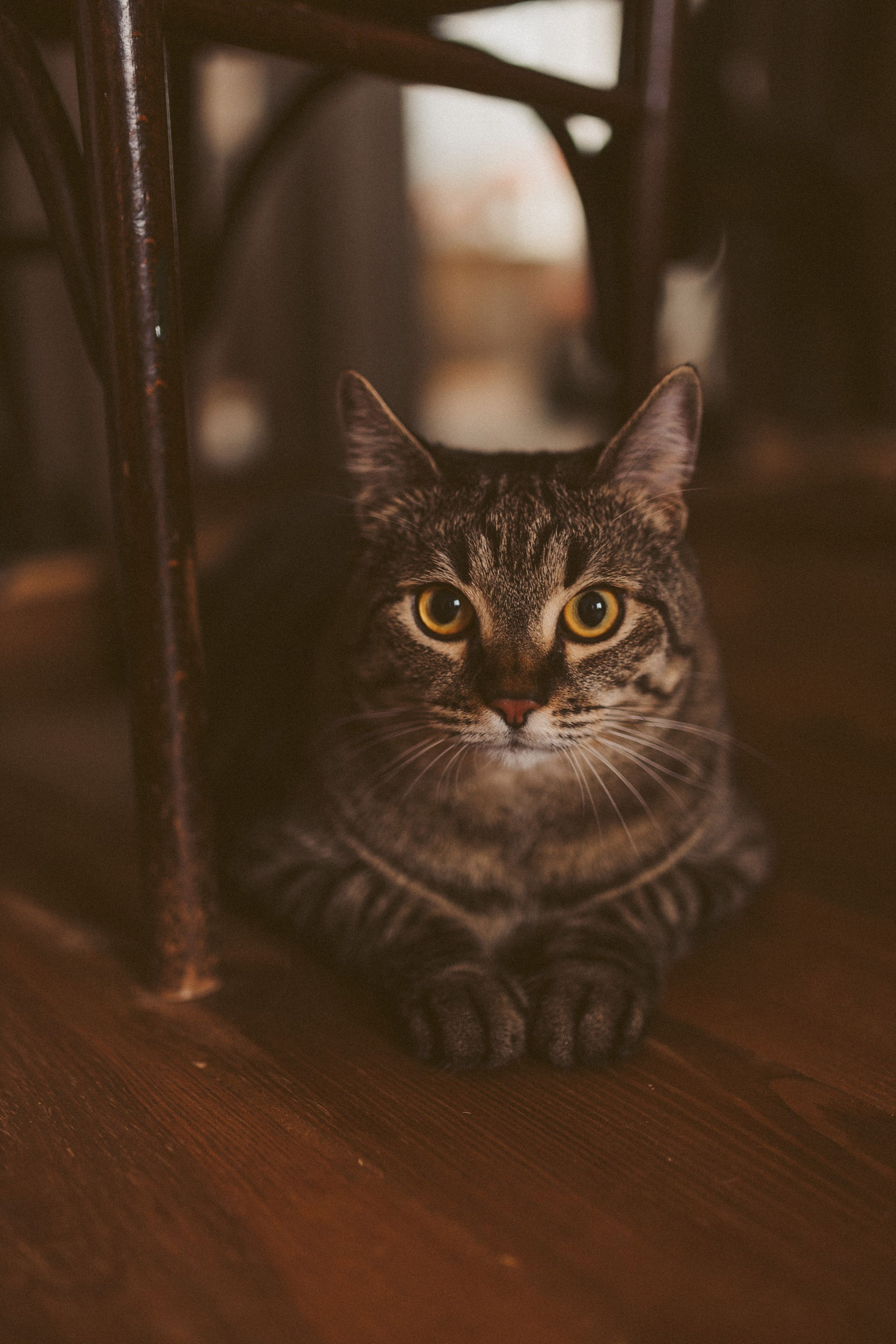 Виктория. Фотограф в Краснодаре Оксана Белецкая