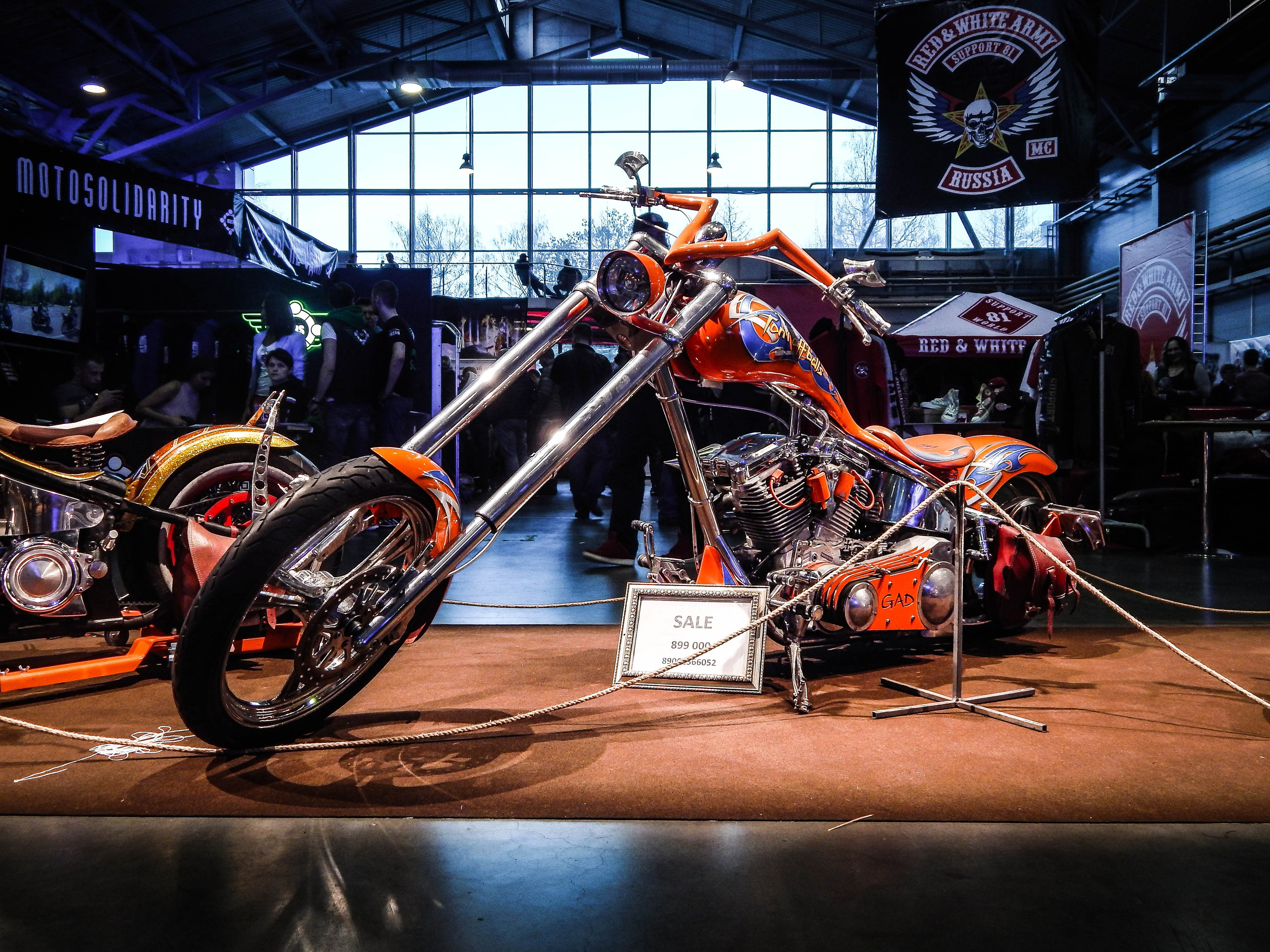 IMIS 2019. Александр Попов