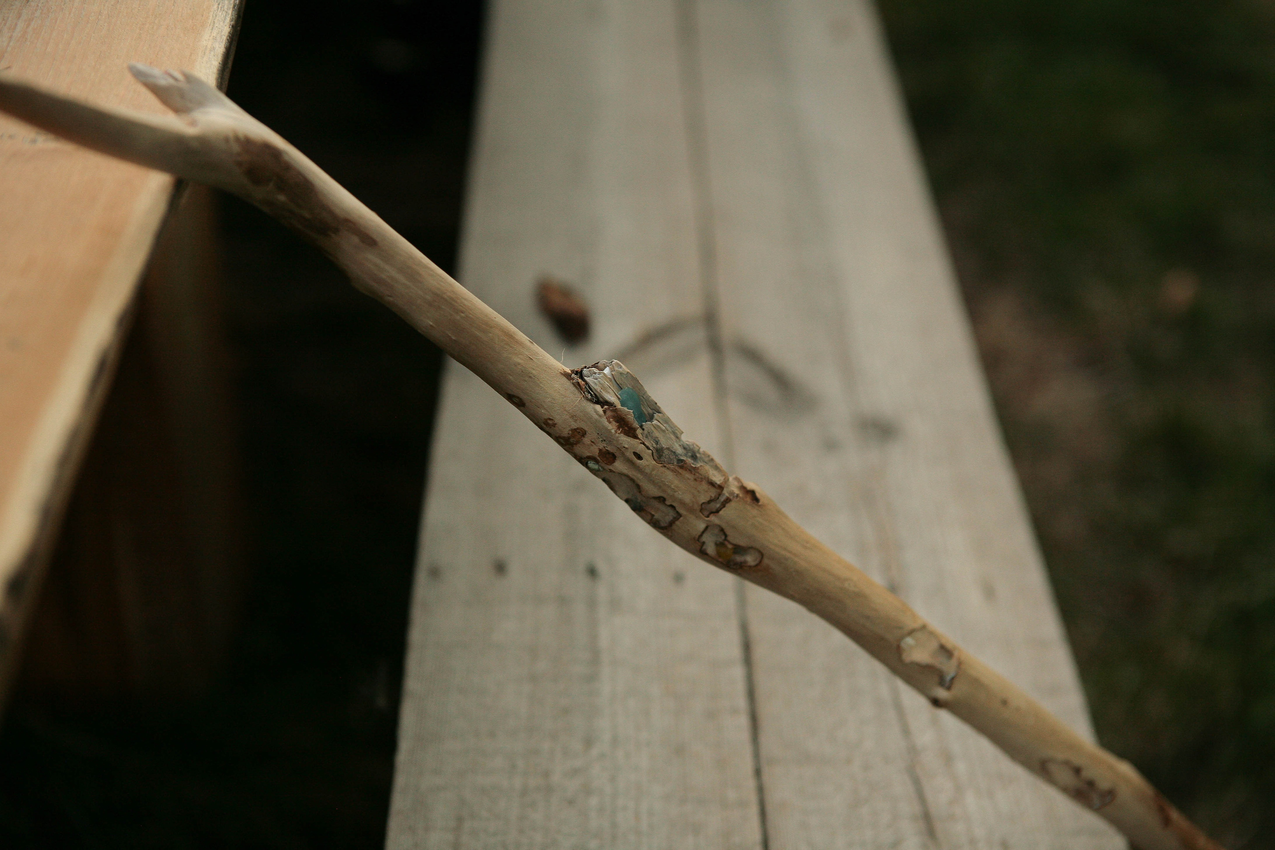 Екатерина и Евгений. Свадебный фотограф Евгения Фролова г. Каменск-Шахтинский, Донецк, Ростов