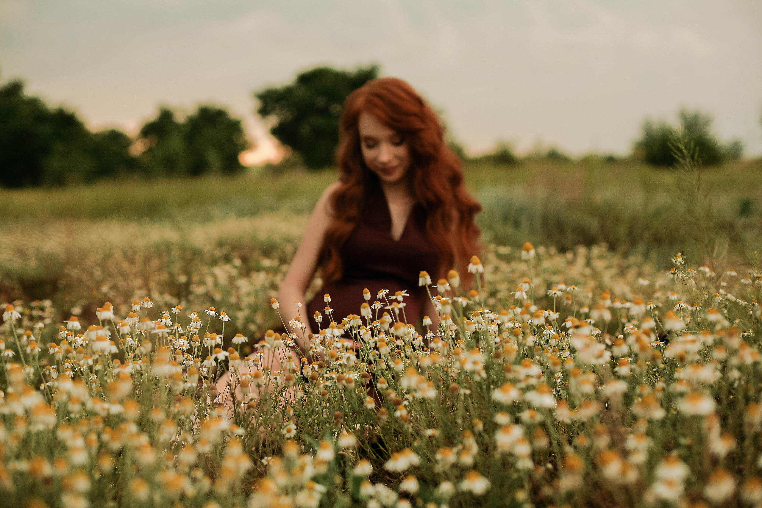 Мария и Дмитрий. Свадебный фотограф Евгения Фролова г. Каменск-Шахтинский, Донецк, Ростов