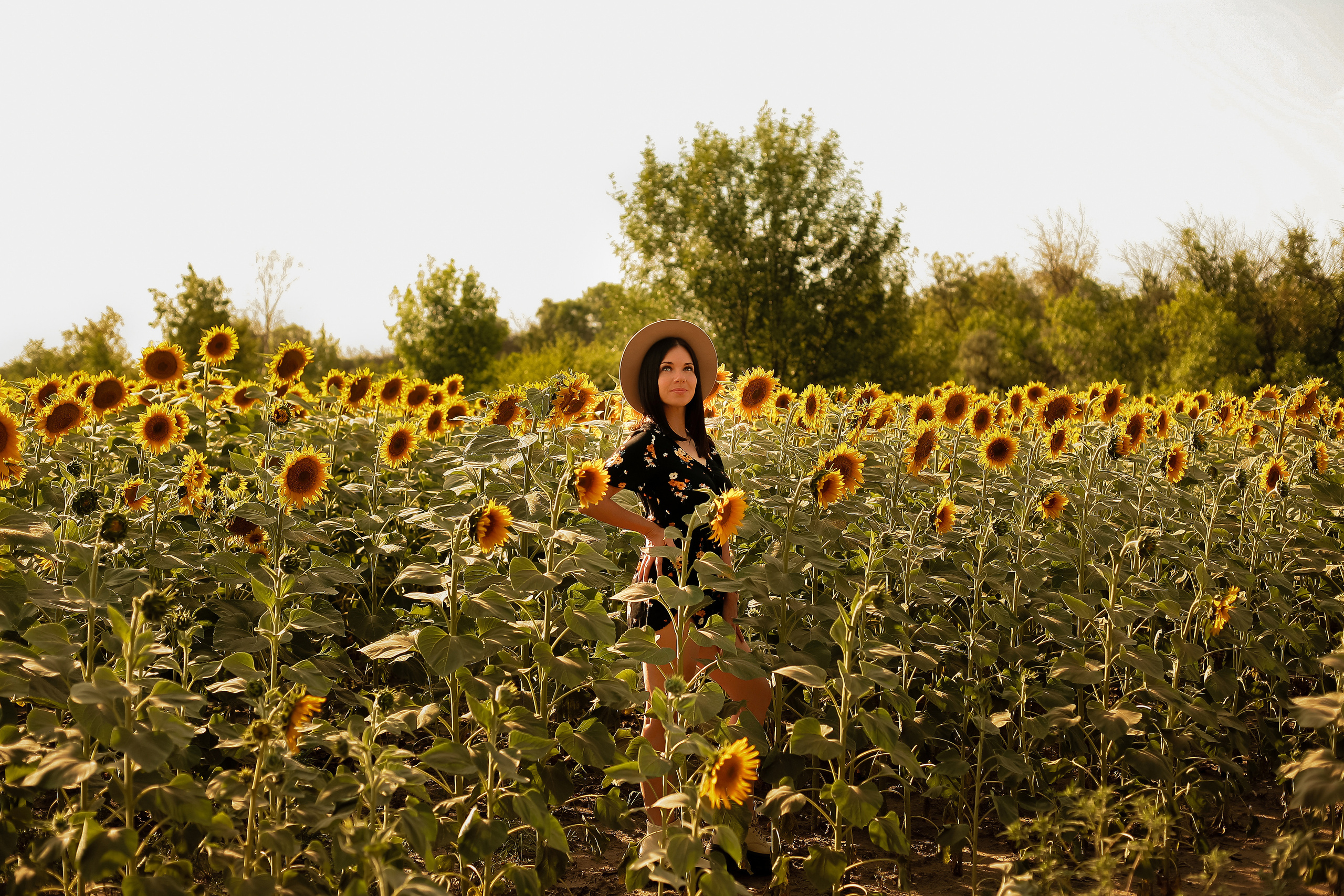 Людмила. Свадебный фотограф Евгения Фролова г. Каменск-Шахтинский, Донецк, Ростов