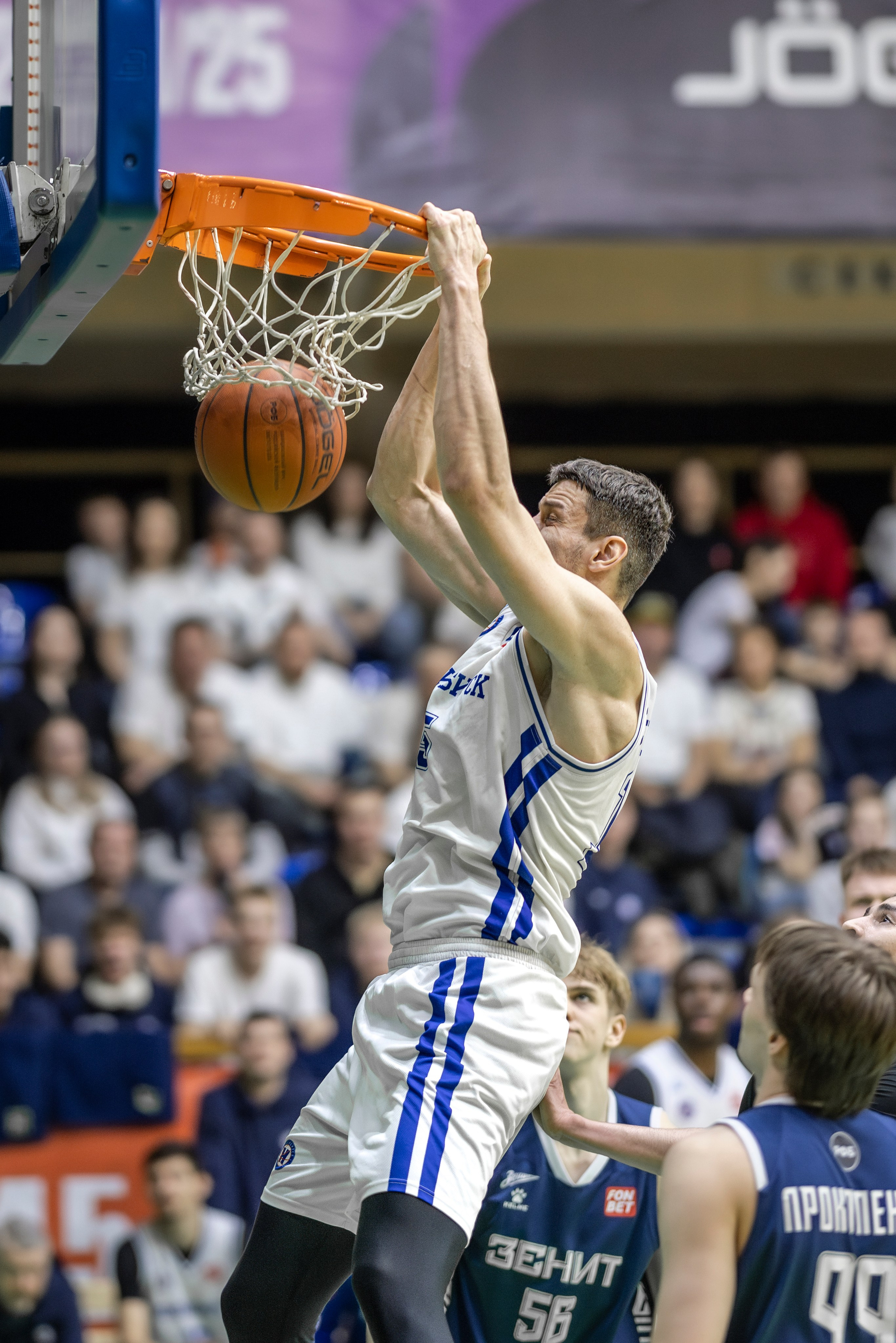 БК Новосибирск. Bertran Ordo