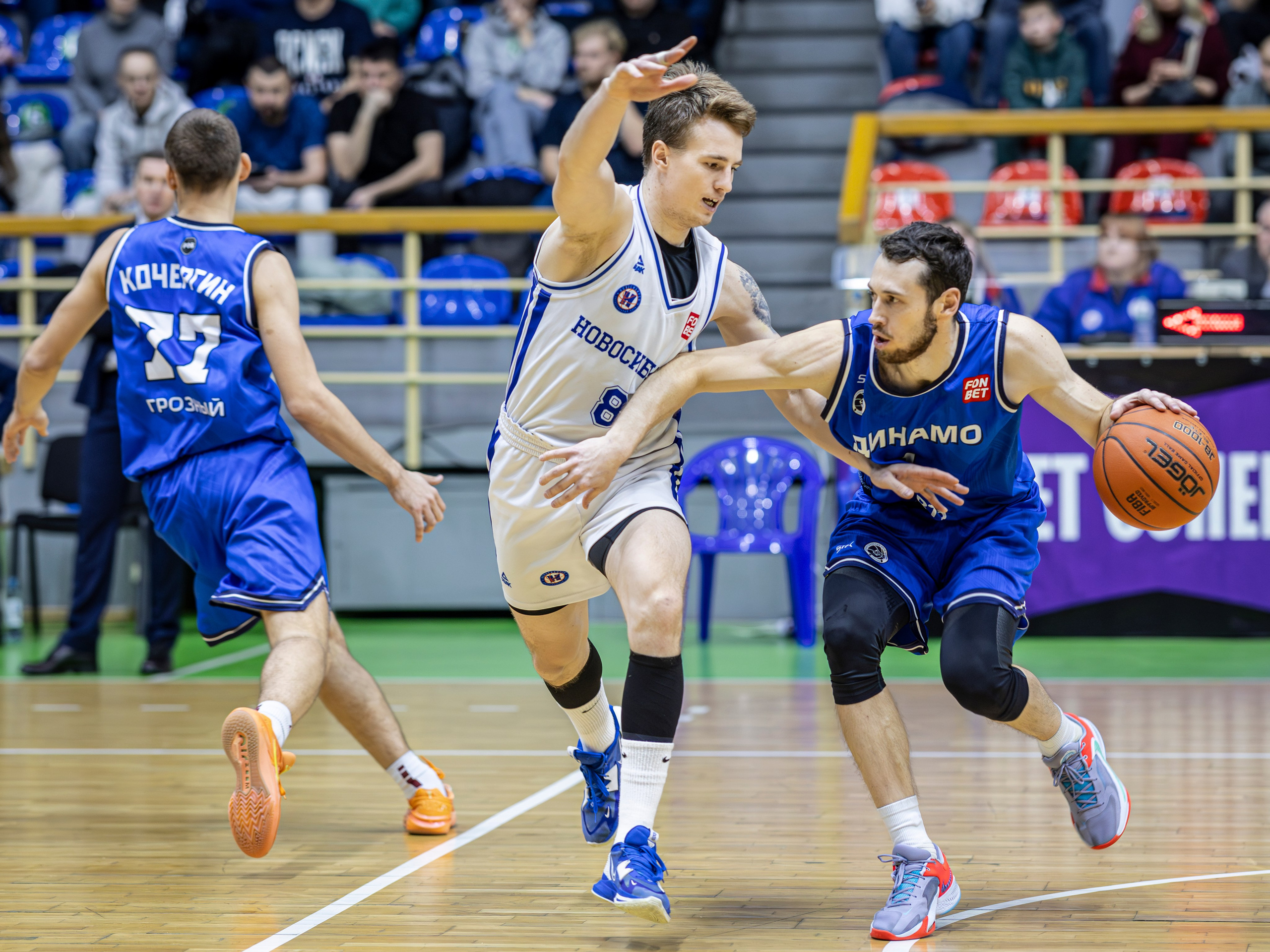 БК Новосибирск. Bertran Ordo