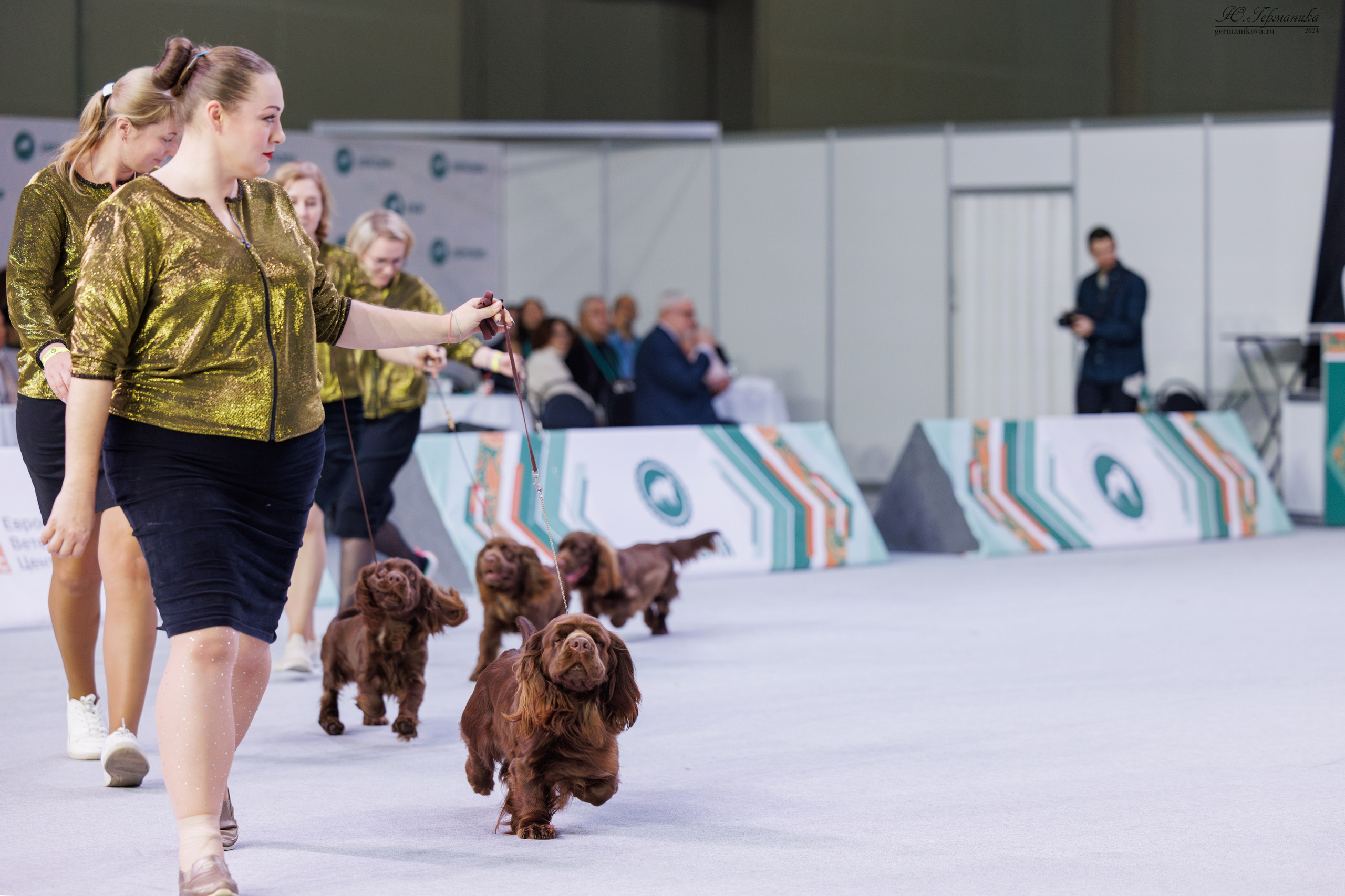 Евразия 16-17.11.2024. Фотограф-анималист Юлия Германика