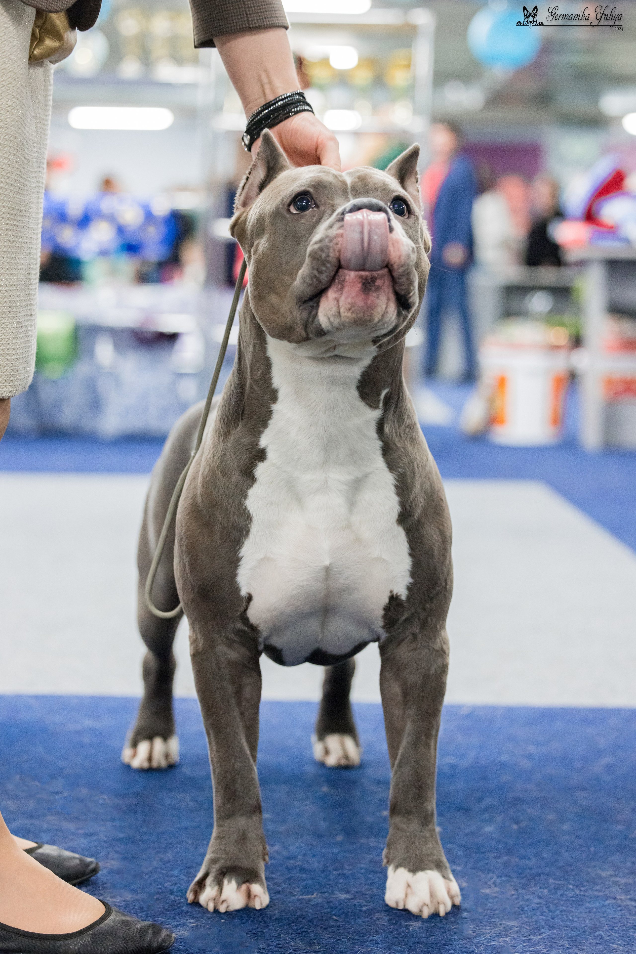 Сфера 28.01. и 4.02.2024. Фотограф-анималист Юлия Германика