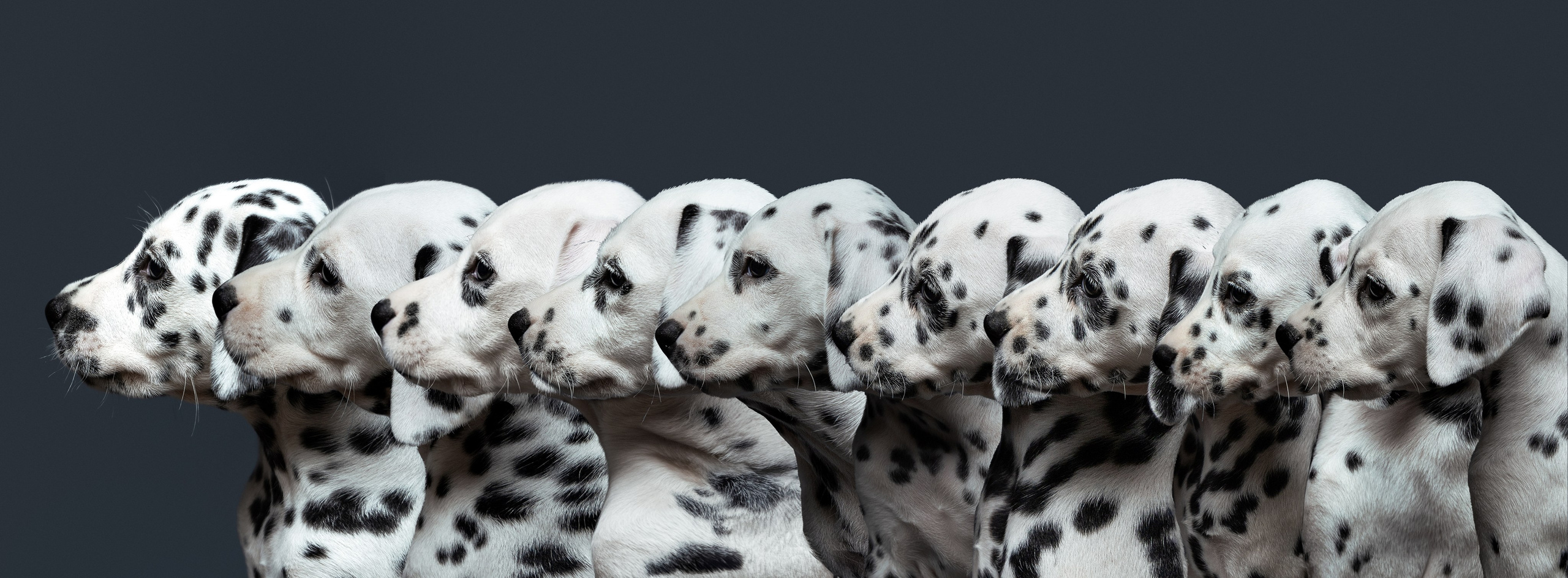 Творческие съёмки. Творческий и свадебный фотограф в Санкт-Петербурге Екатерина PHOTOFORY