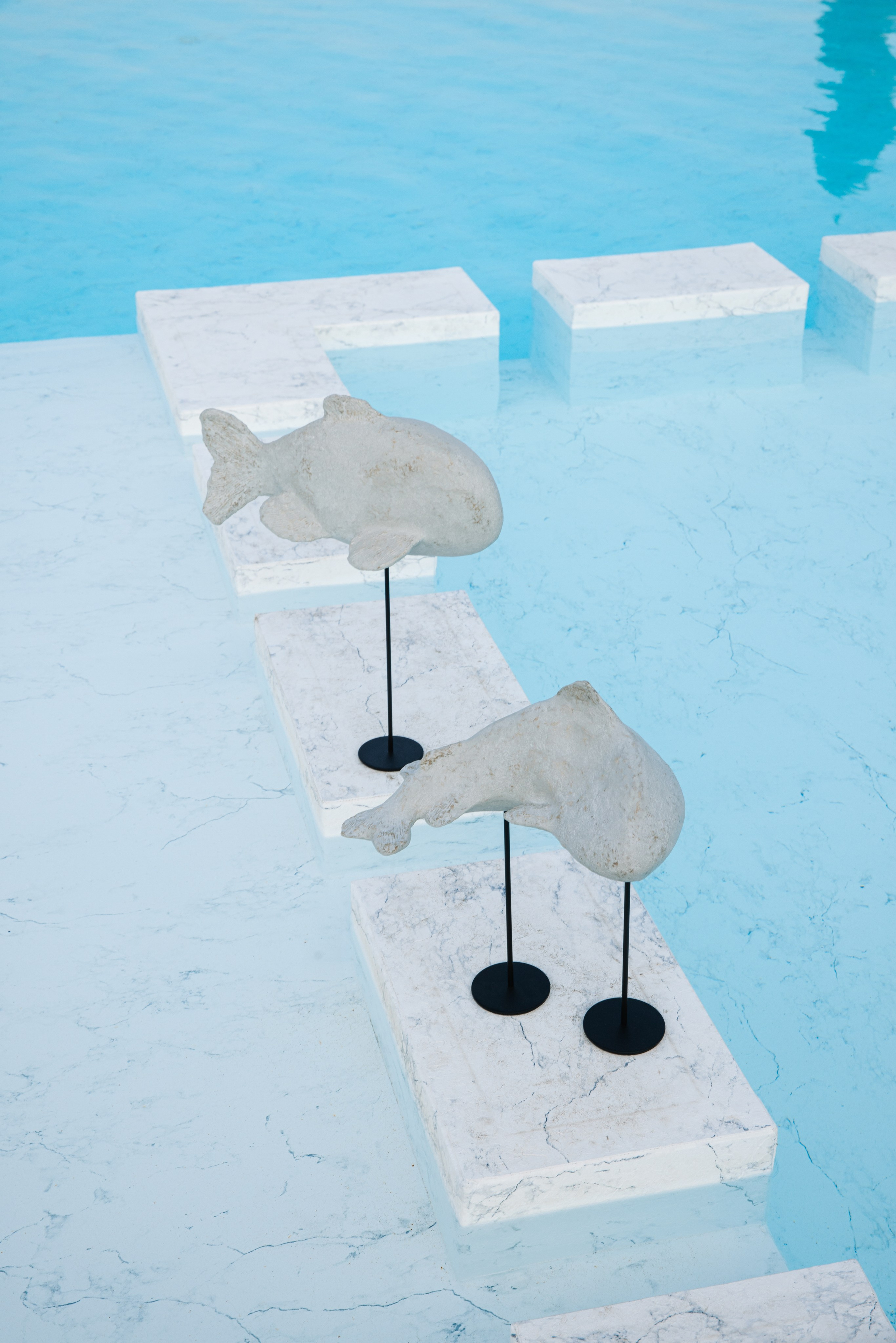 Kseniya Torgashina Designer. Фотограф на Юге России