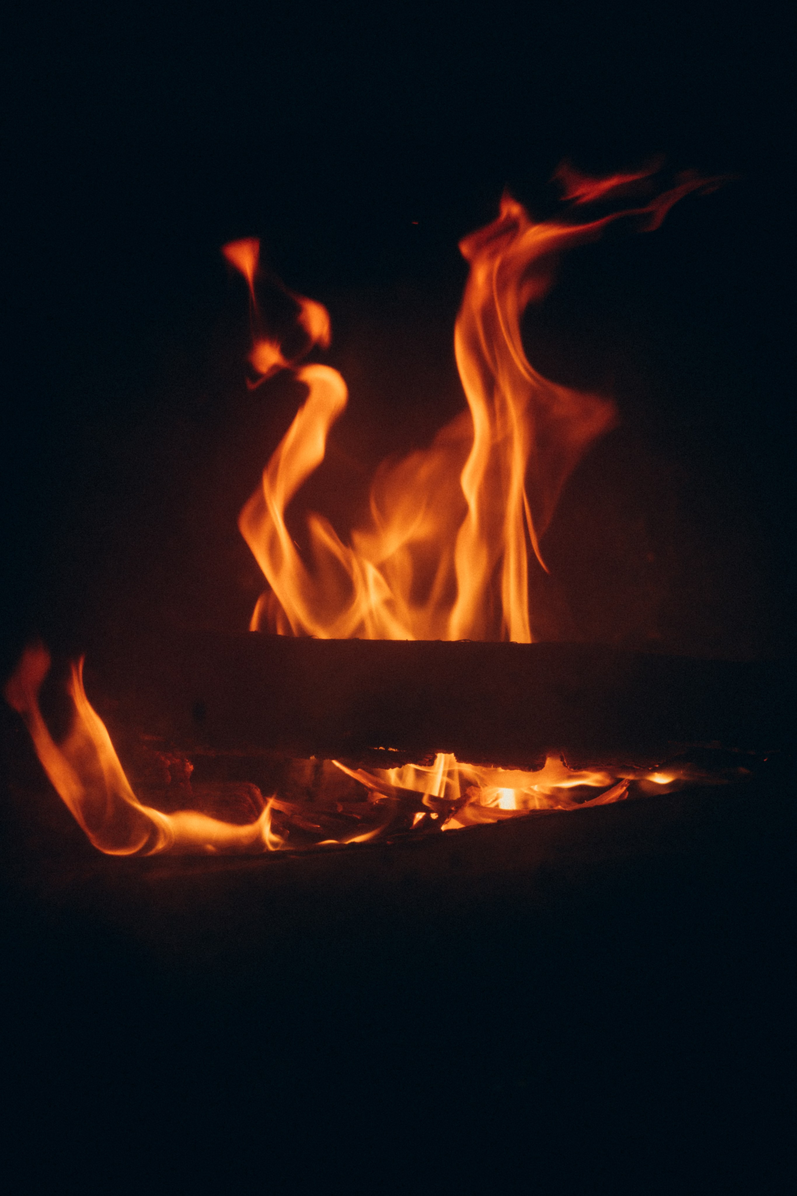 The Hedonist Story | Gastronomic Dinners. Photographer in Prague Alexander Pivovarov