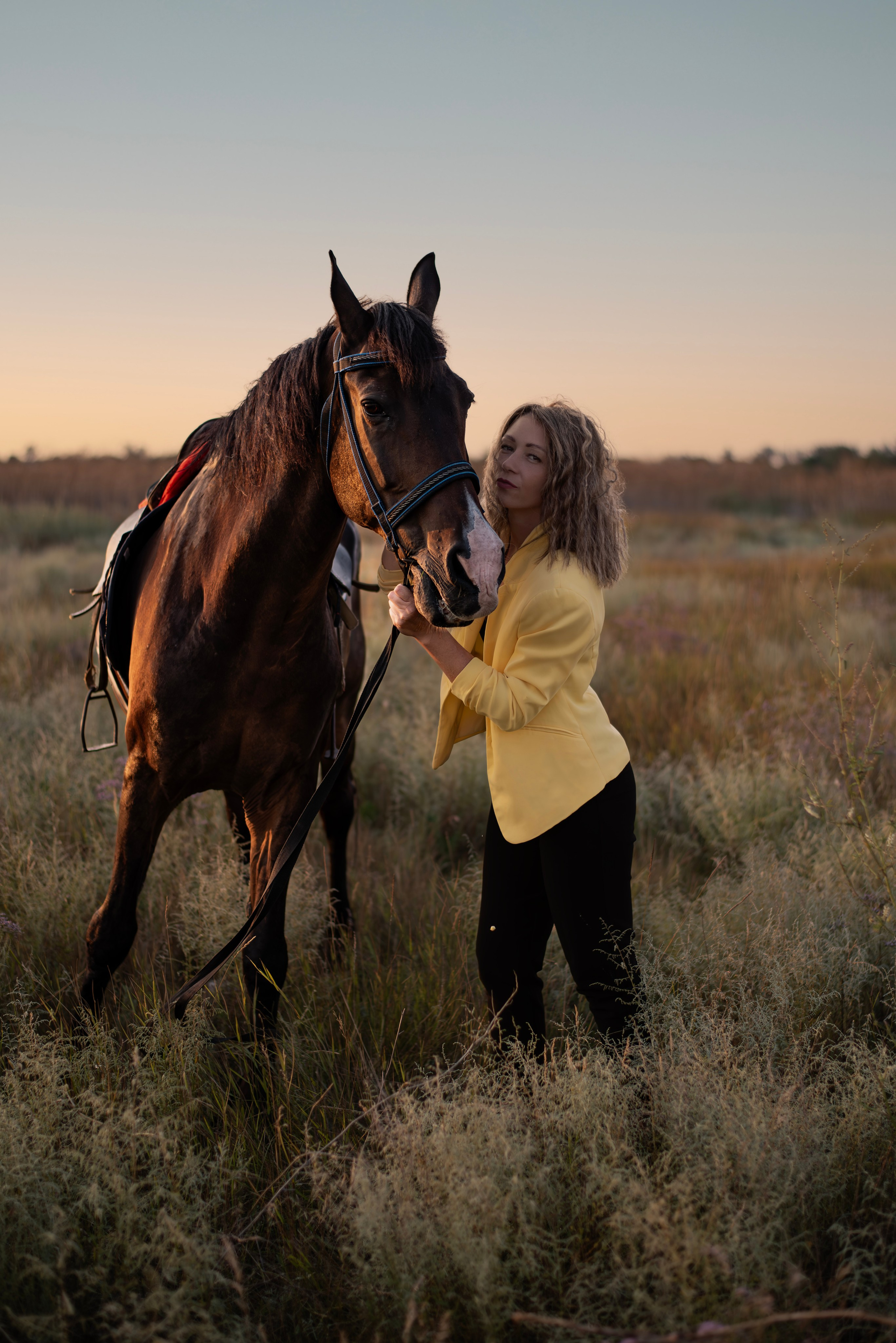 Леди и лошадь. Главная