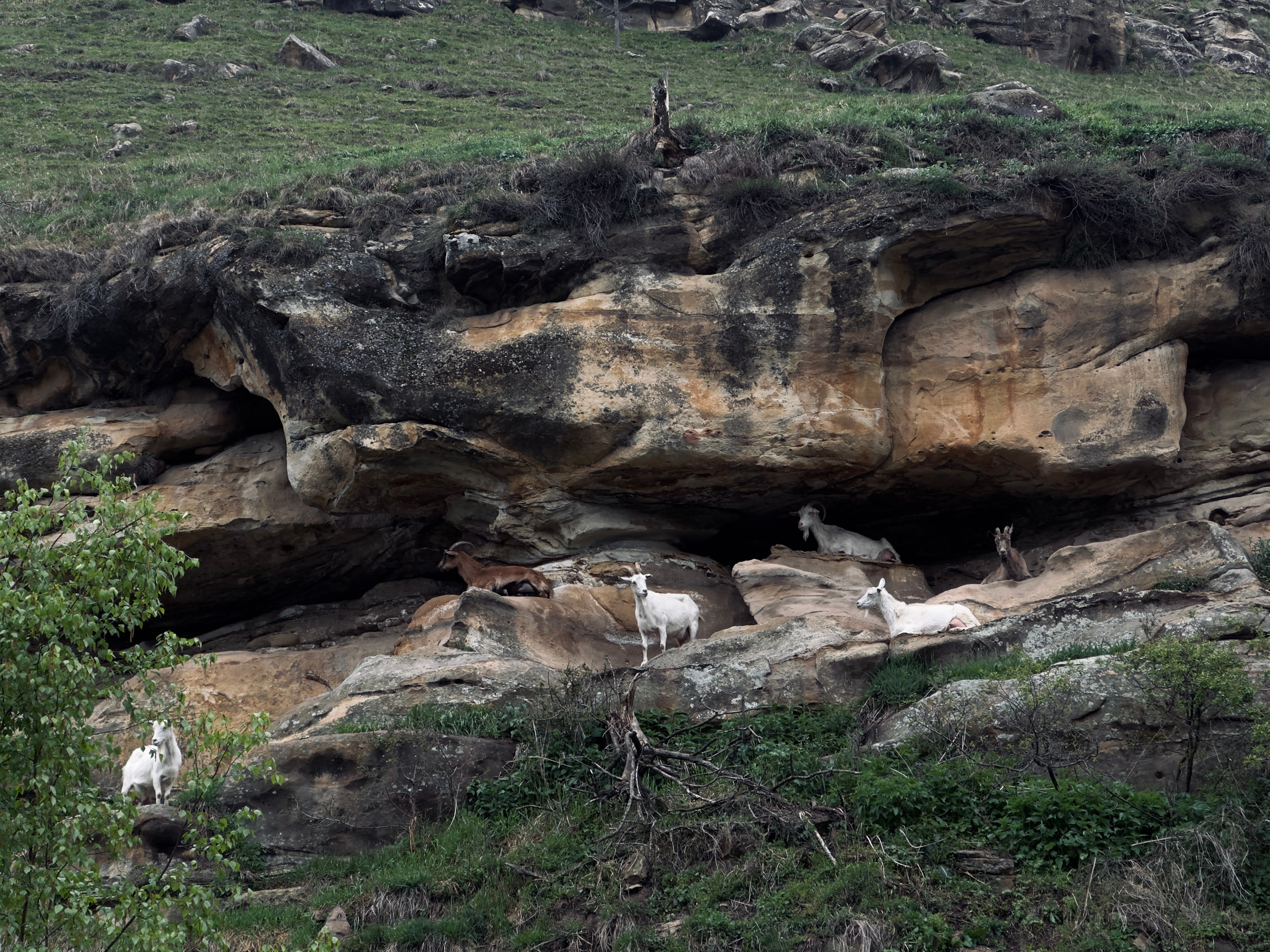 Пейзажи. Смотри, красота!