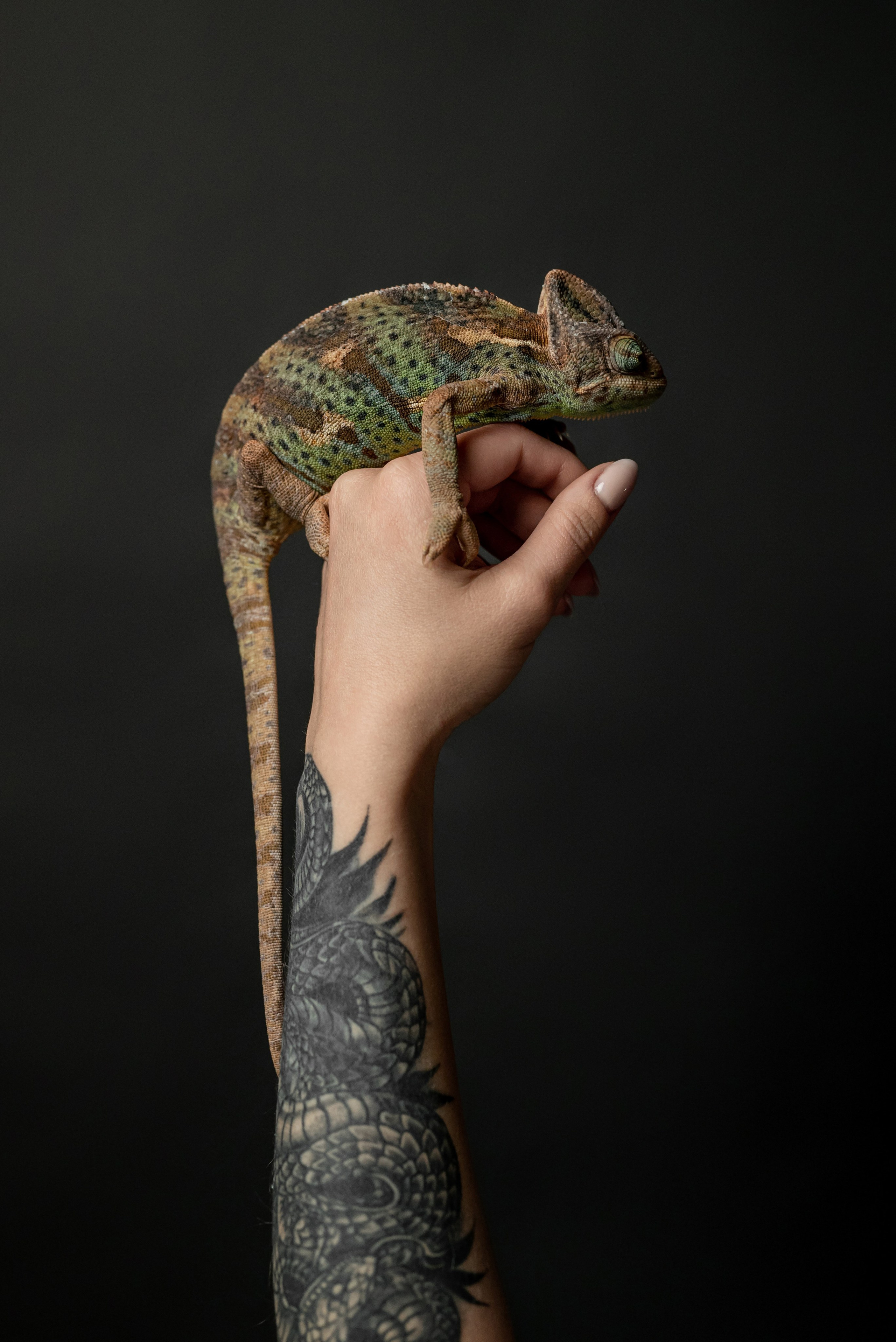 Кристина. Фотограф в городе Салават