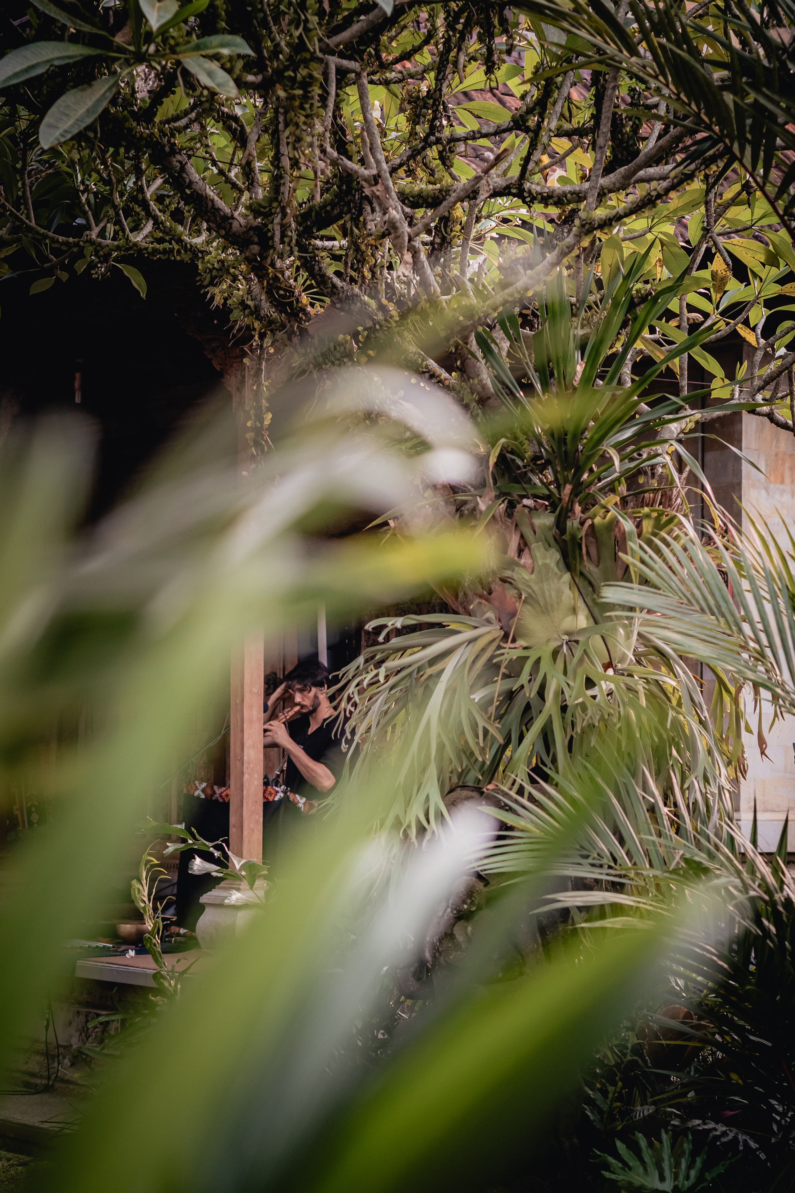 Alegria festival at Zest. Мариам Багдасарян