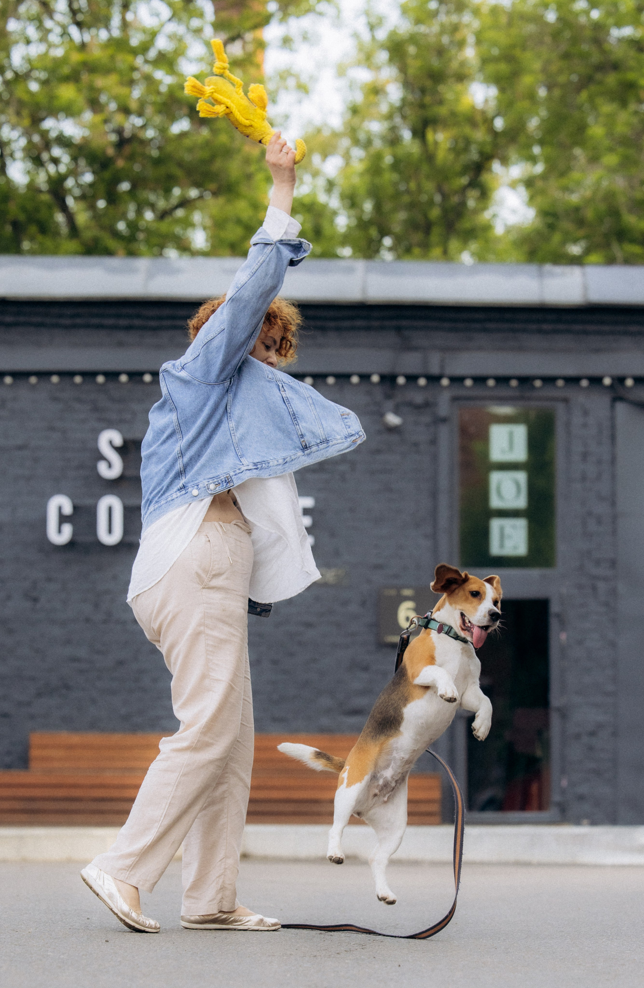 Анна и Рэна. Рассвет в Москве. Фотограф анималист в Казани Алина Сулейманова. Фотограф животных