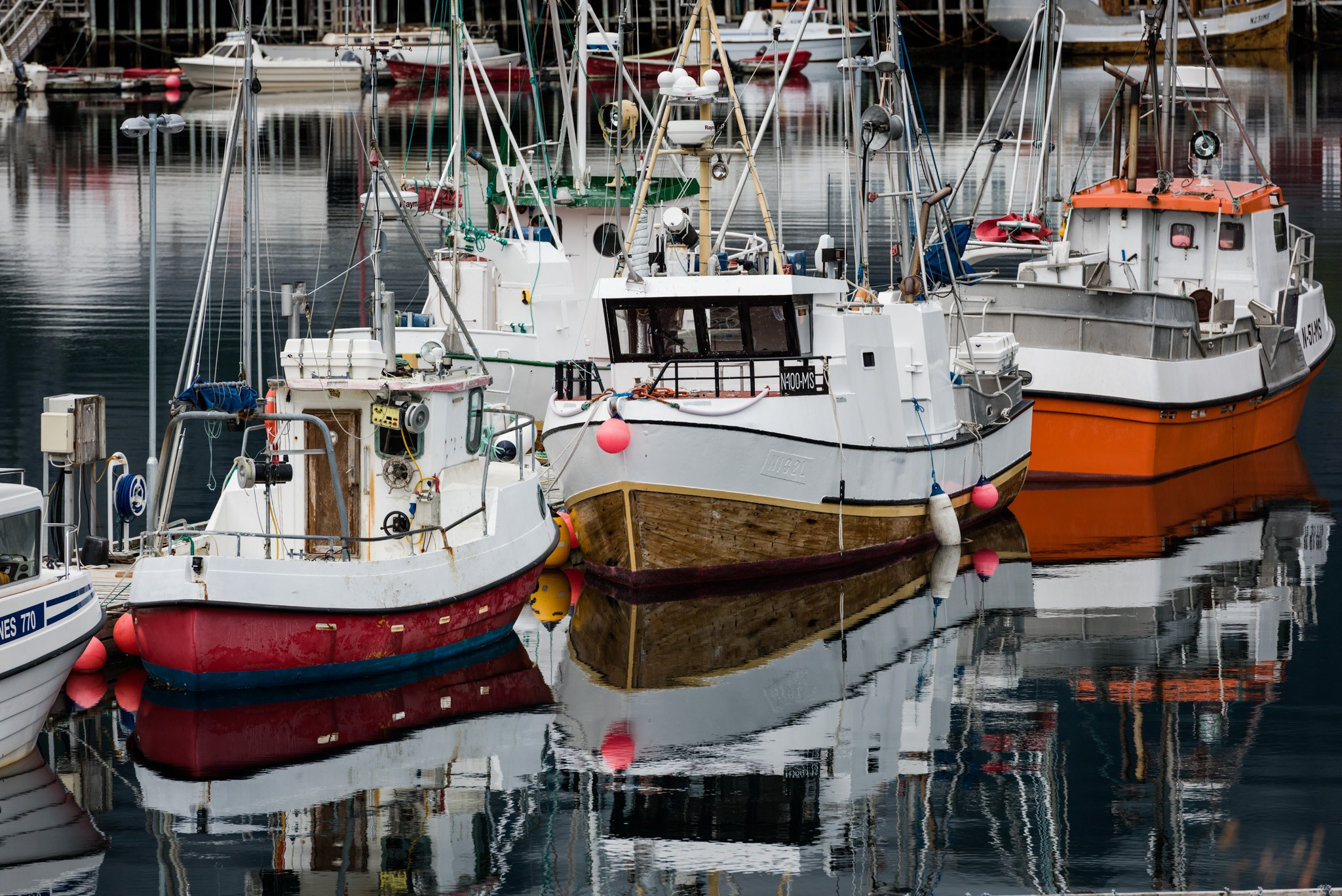NATURE. Sailing Photographer Marina Semenova