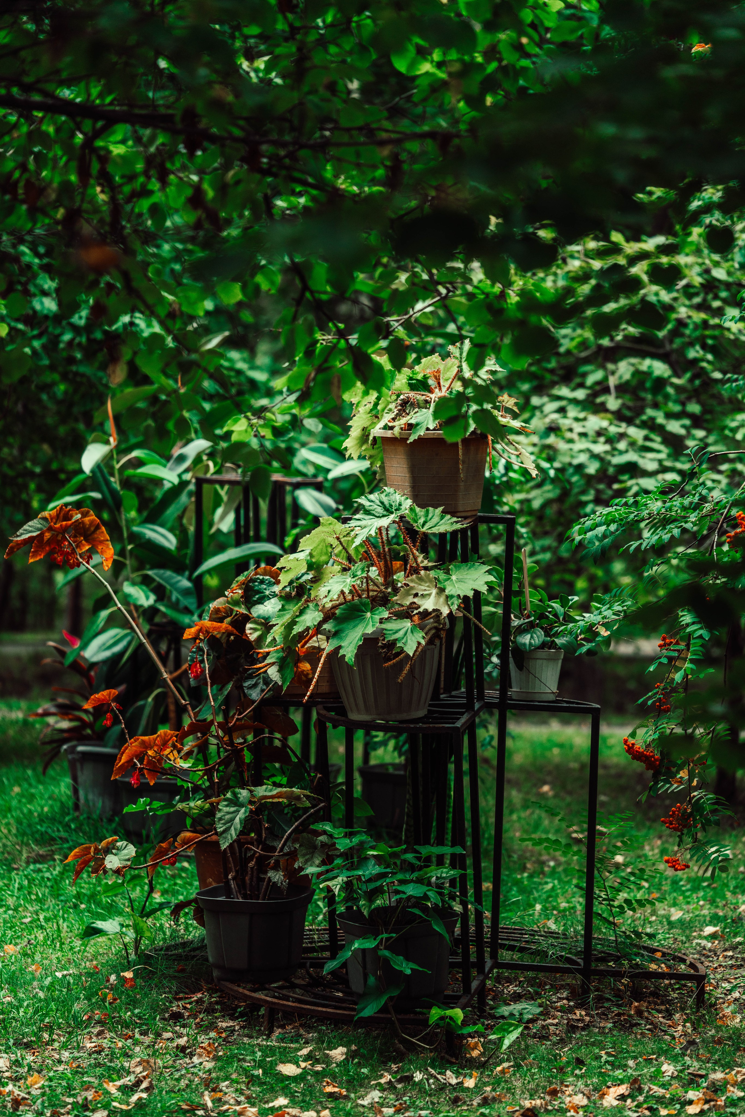 Усть-Каменогорск, Сентябрь 2024