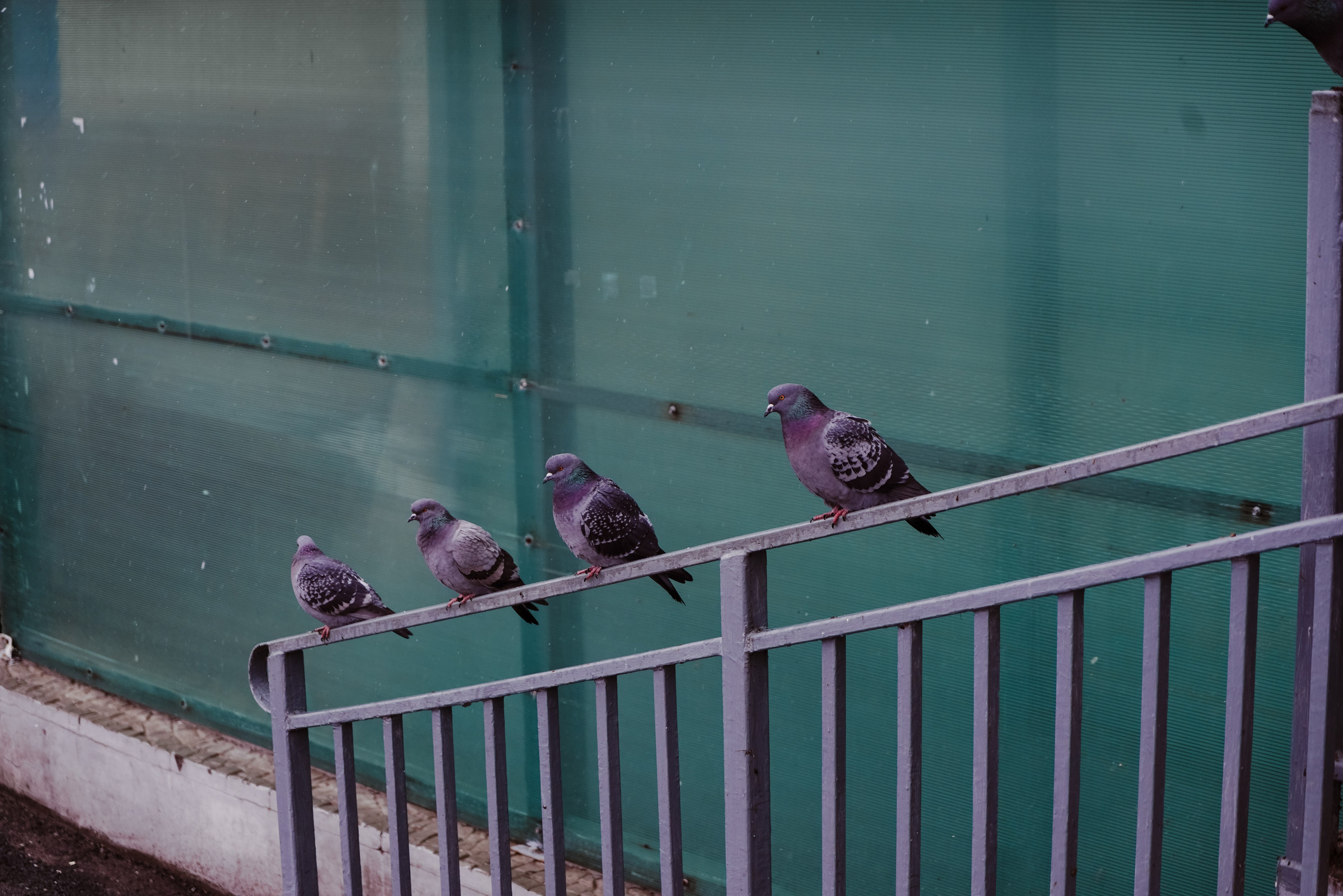 Красновишерск, Ноябрь 2023