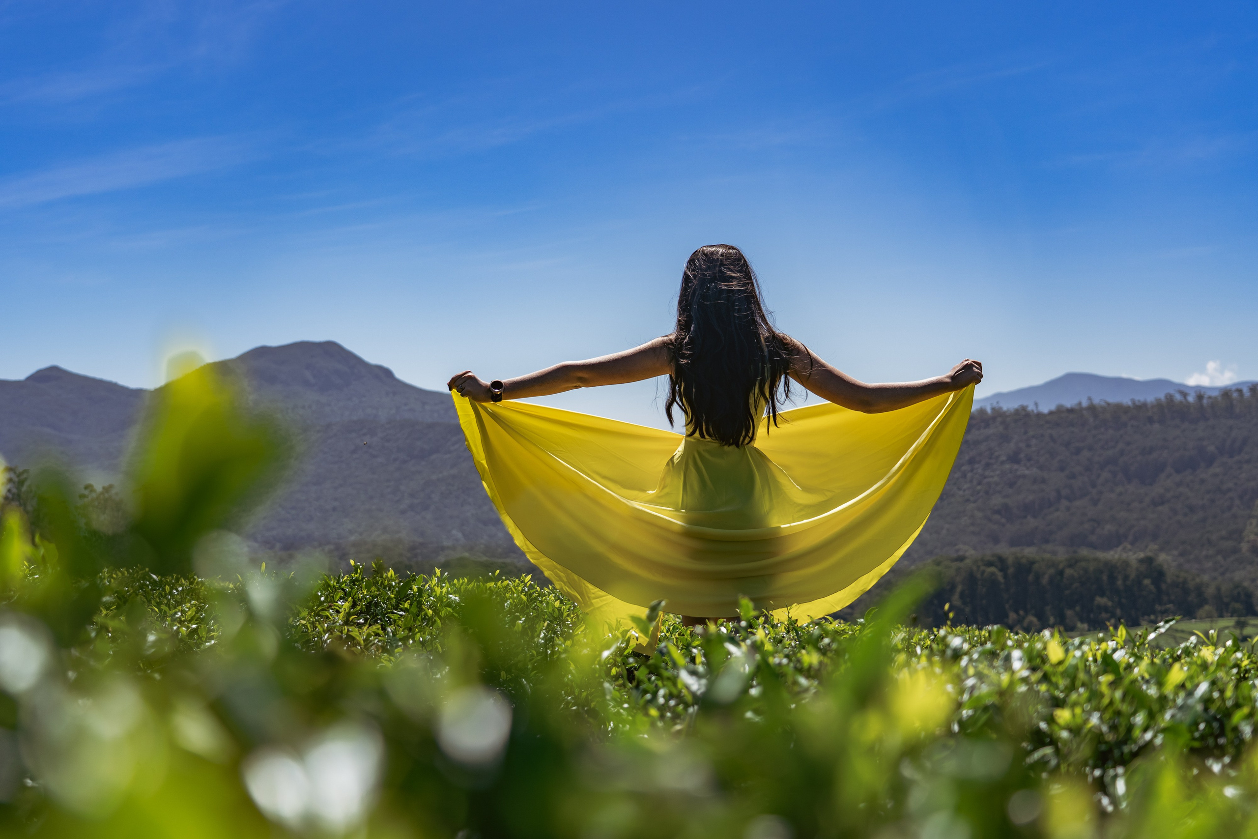 Promo content shooting for Ceylon Forward Tours