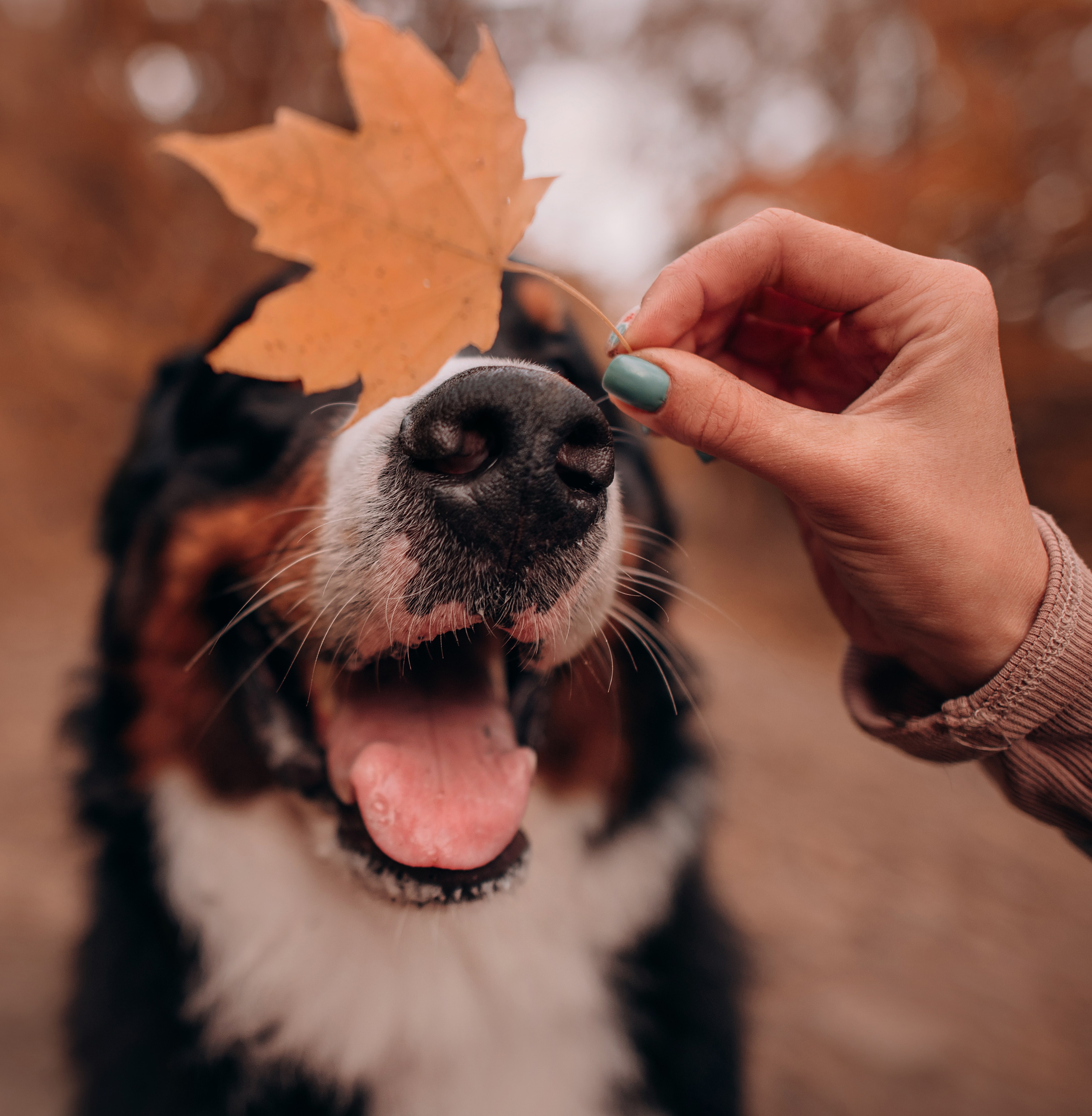 Владивосток: Марс и Маша. Портфолио