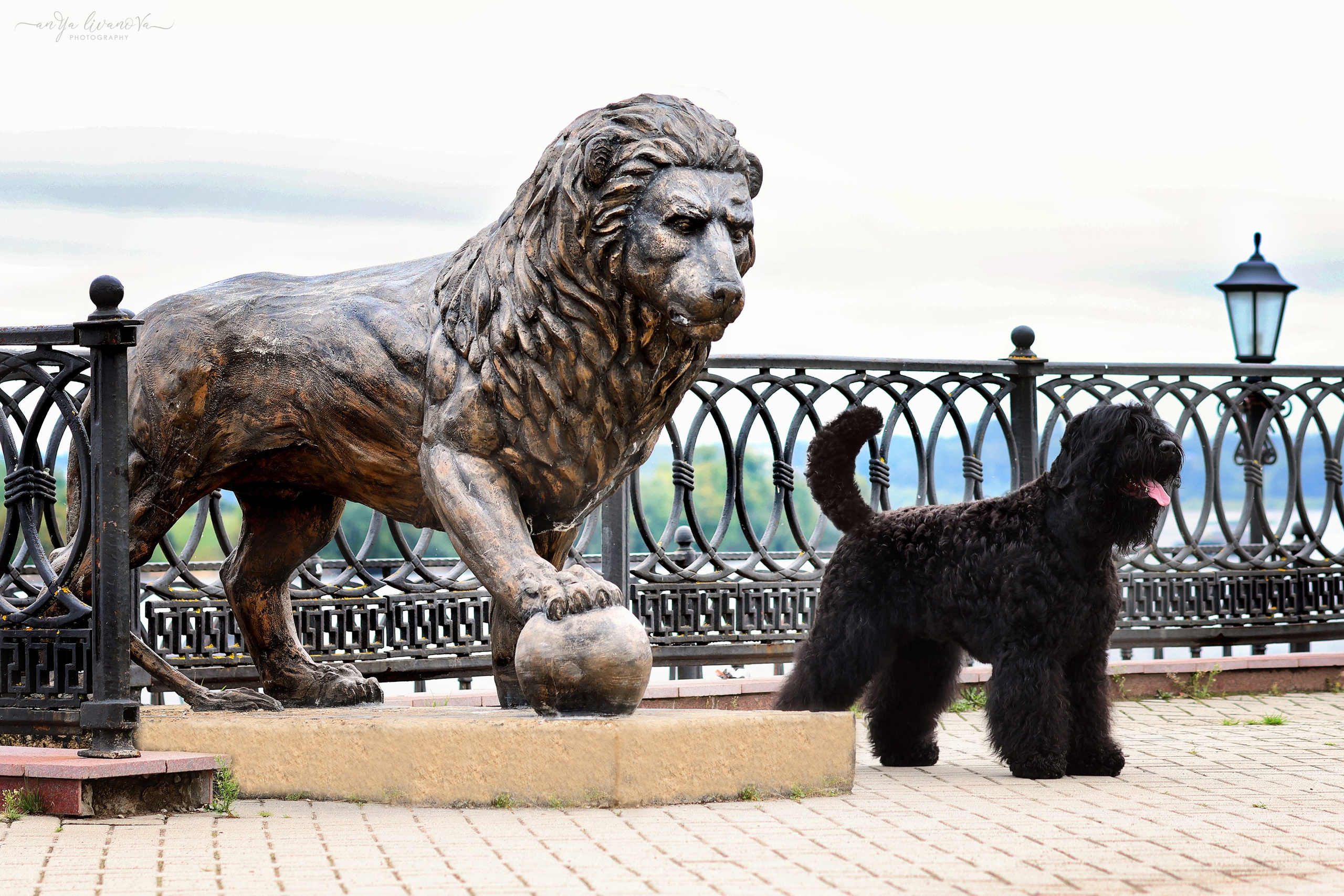 РЧТ. Фотограф анималист Аня Ливанова | Рыбинск