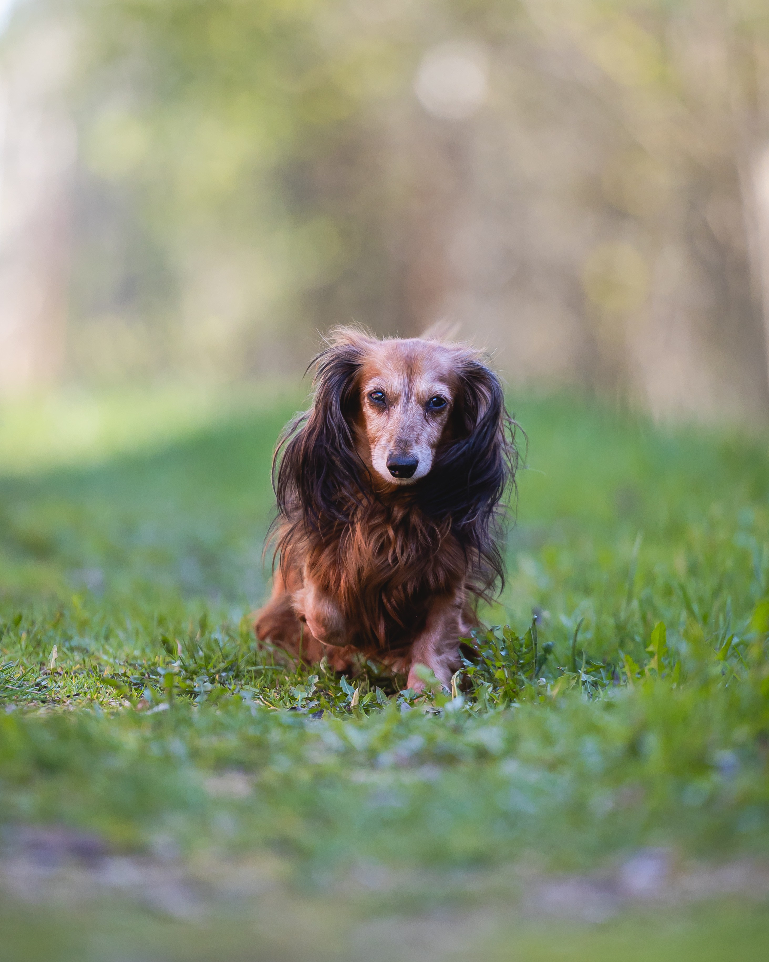 Животные. Фотограф Владимир Охрименко