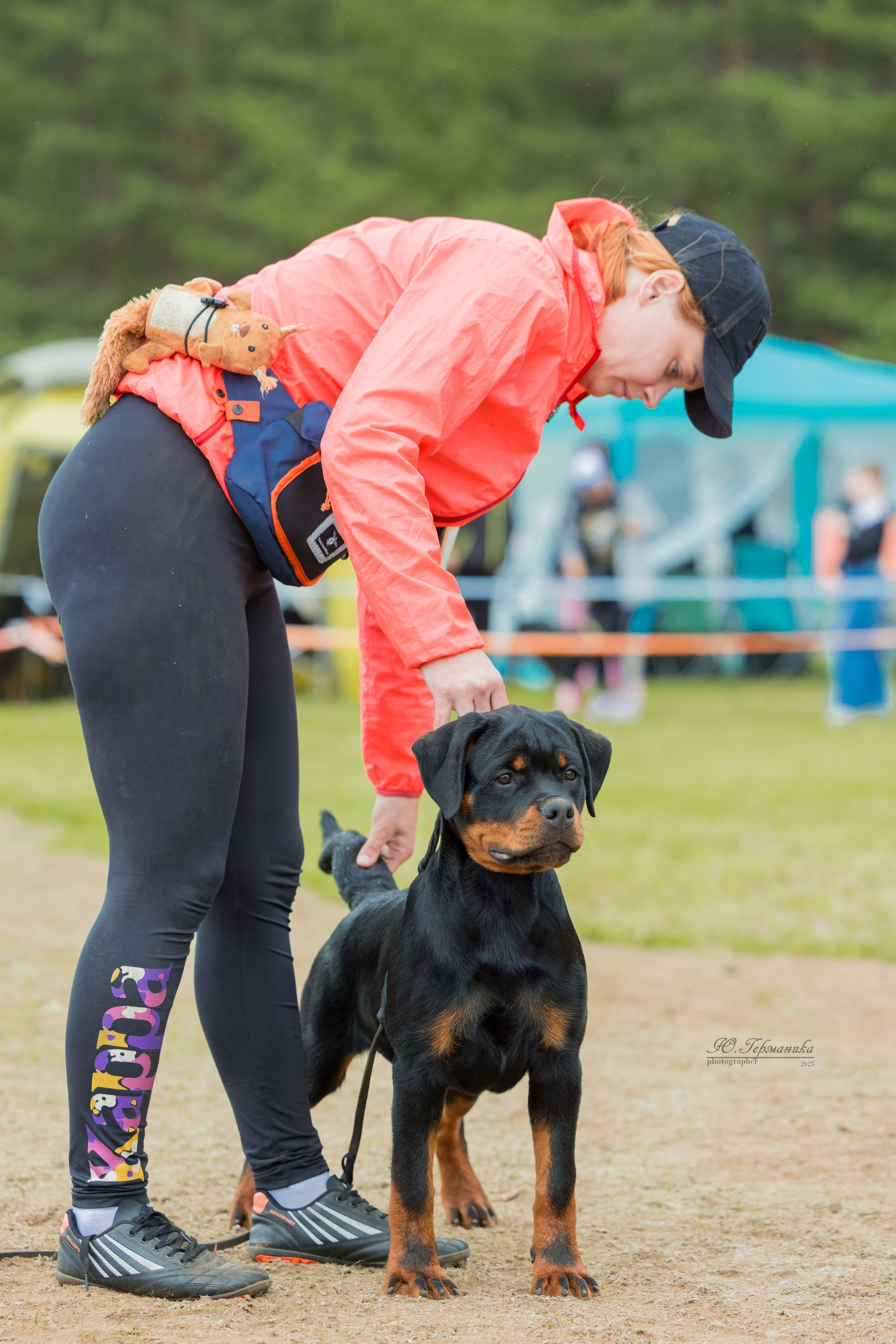 Тверь ротвейлеры 5-6.07.2025. Фотограф-анималист Юлия Германика