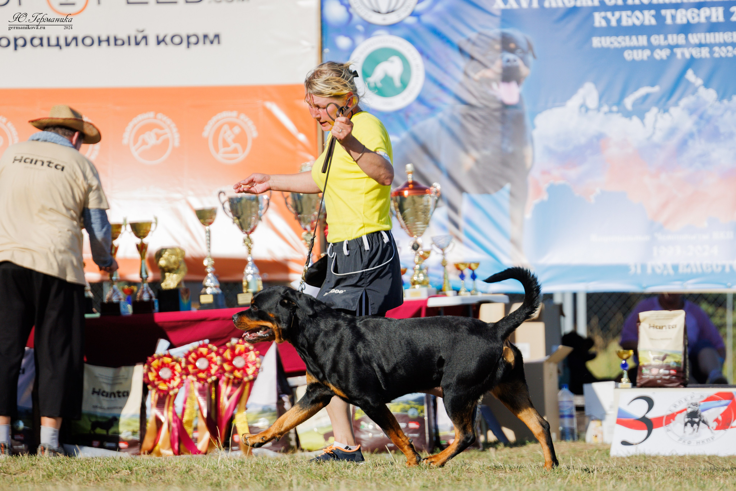 ПК и КЧК ротвейлеры Тверь 6-7.07.2024. Фотограф-анималист Юлия Германика
