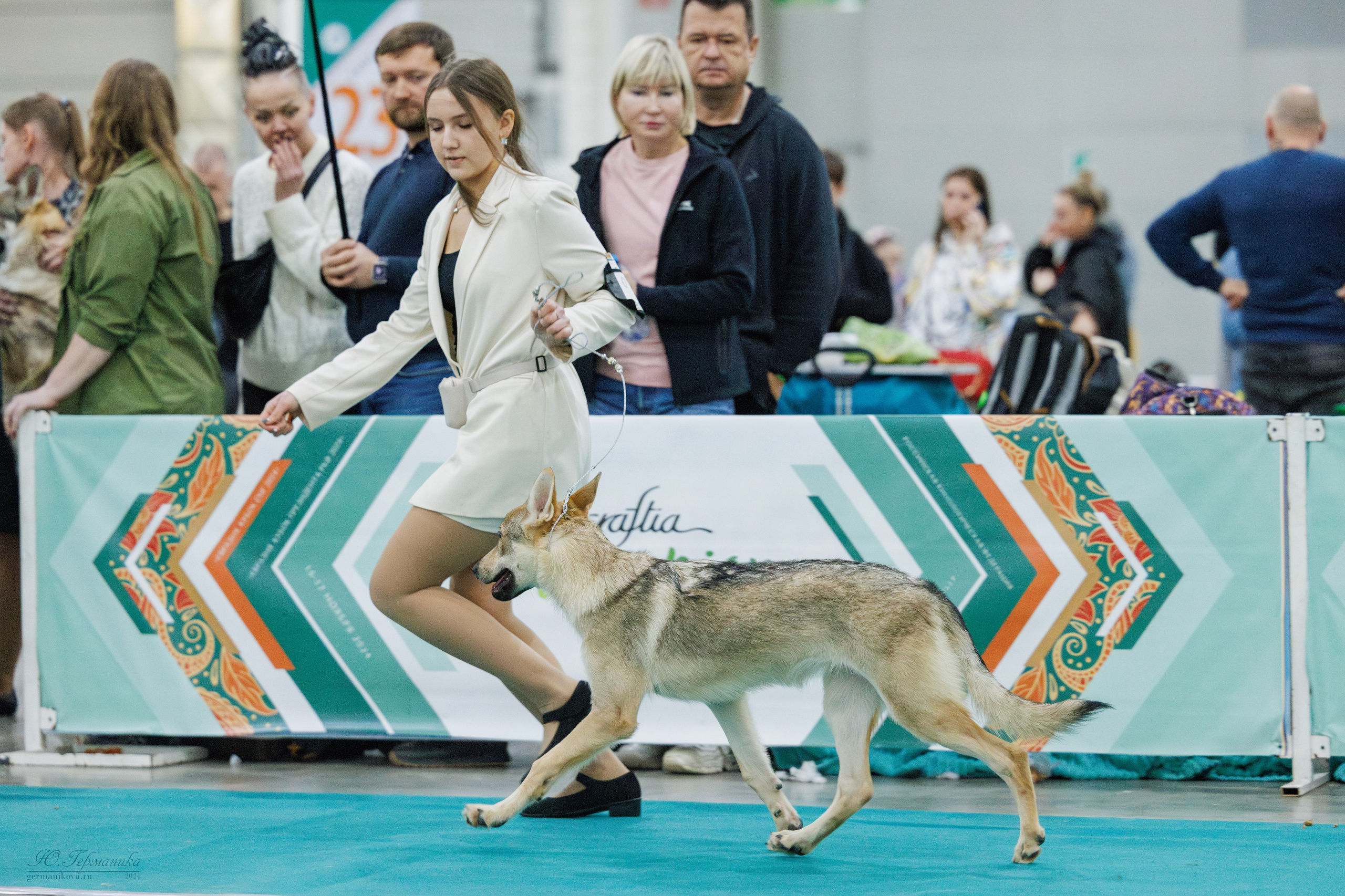 Евразия 16-17.11.2024. Фотограф-анималист Юлия Германика