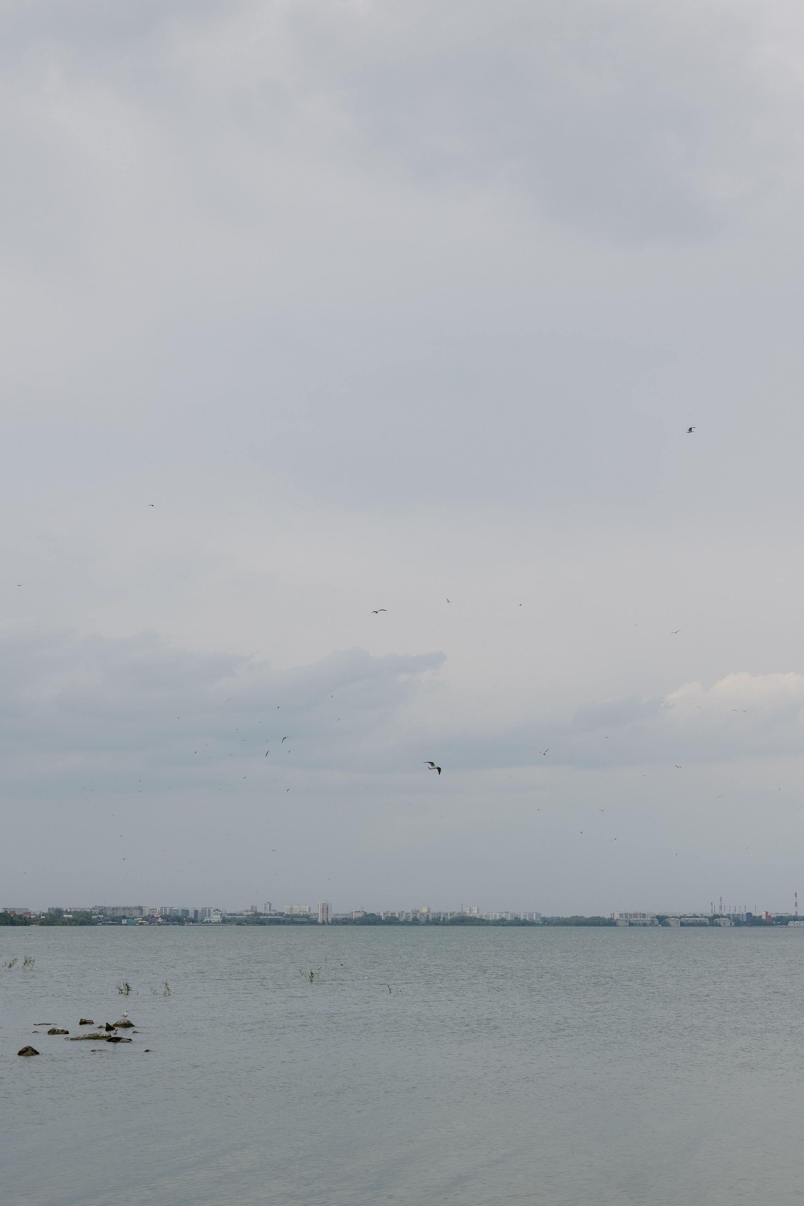 Даша и Миша. Фотограф в Челябинске