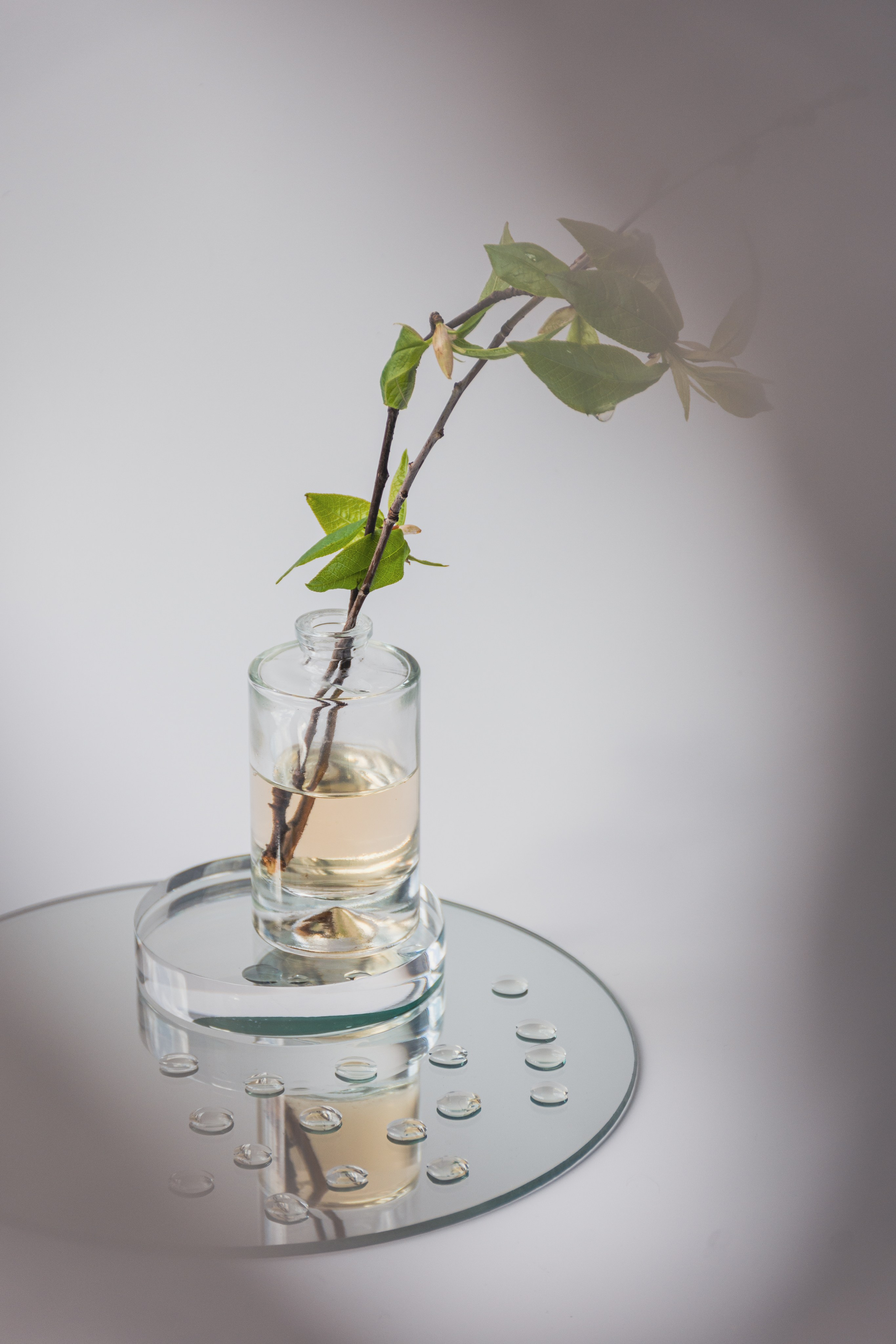 Натюрморты. Фотограф и оператор в Москве Елизавета Коргалидзе