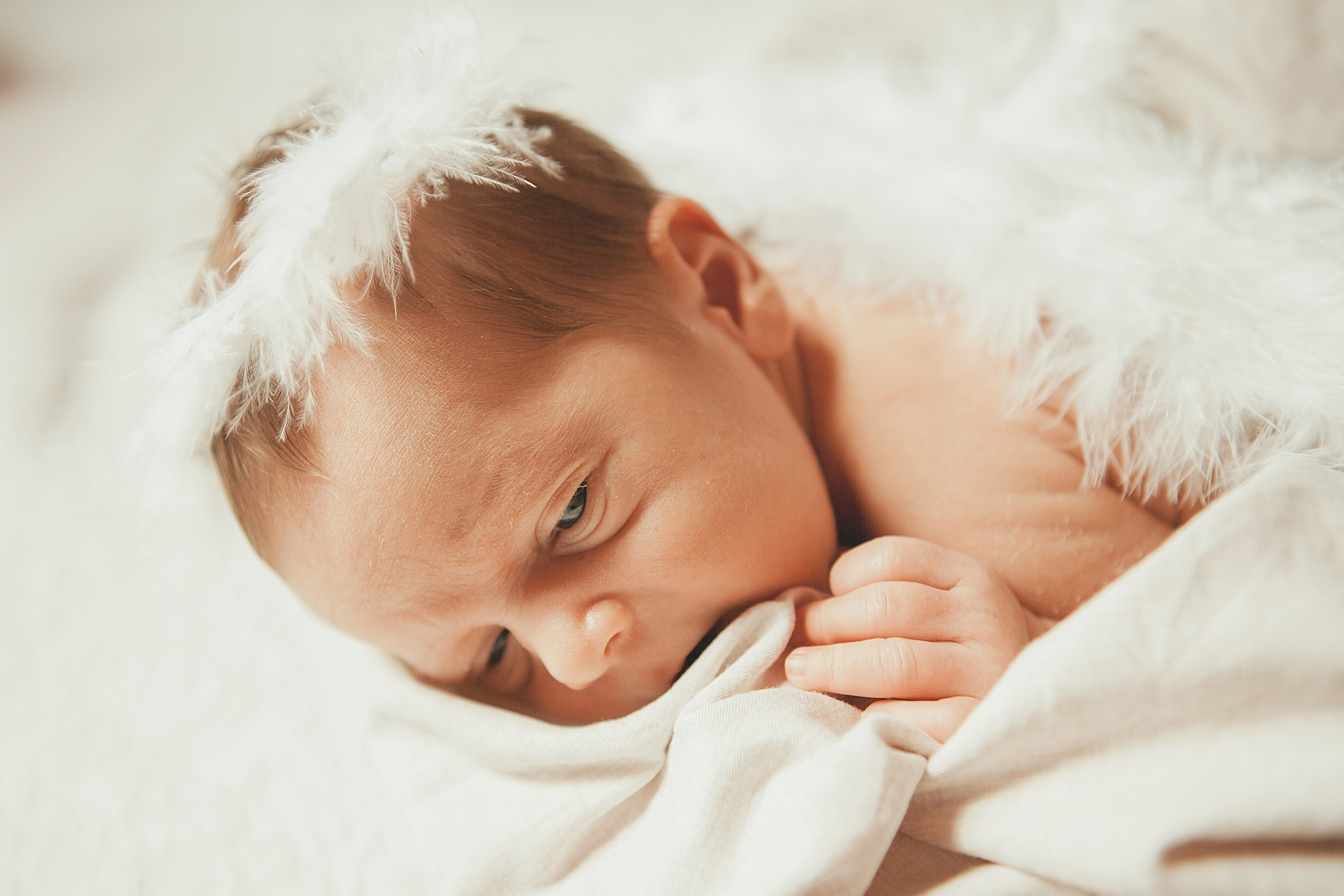 Гордей. Фотограф Ольга Ефремова