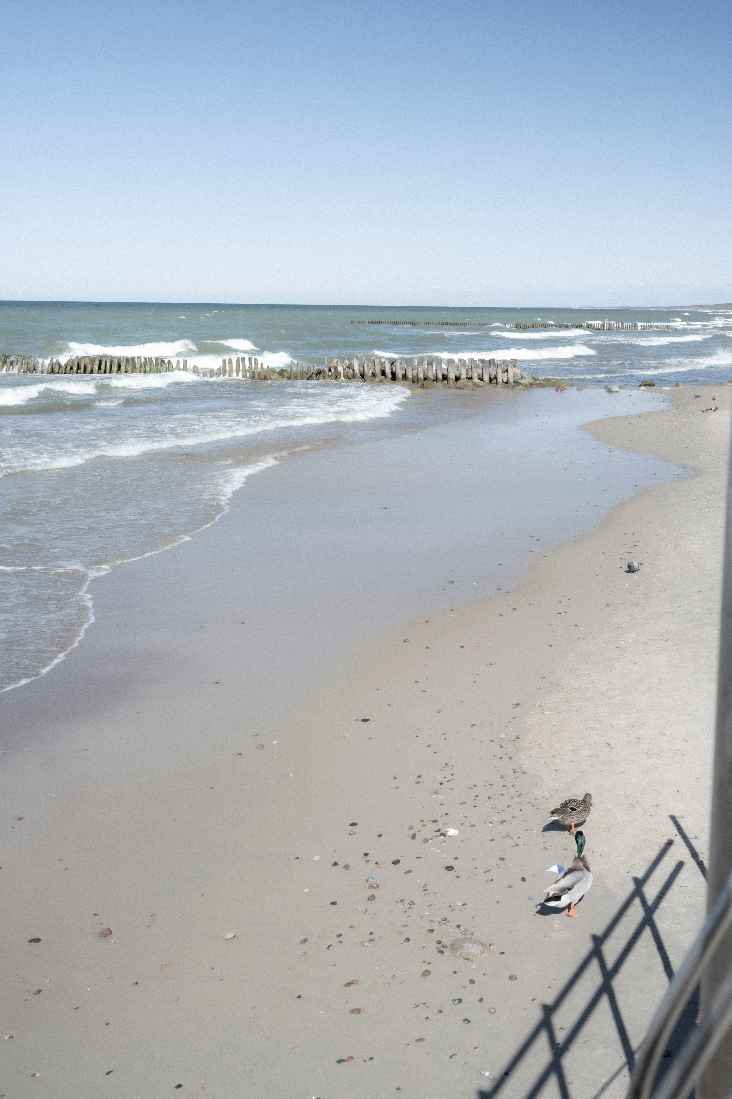 Калининград