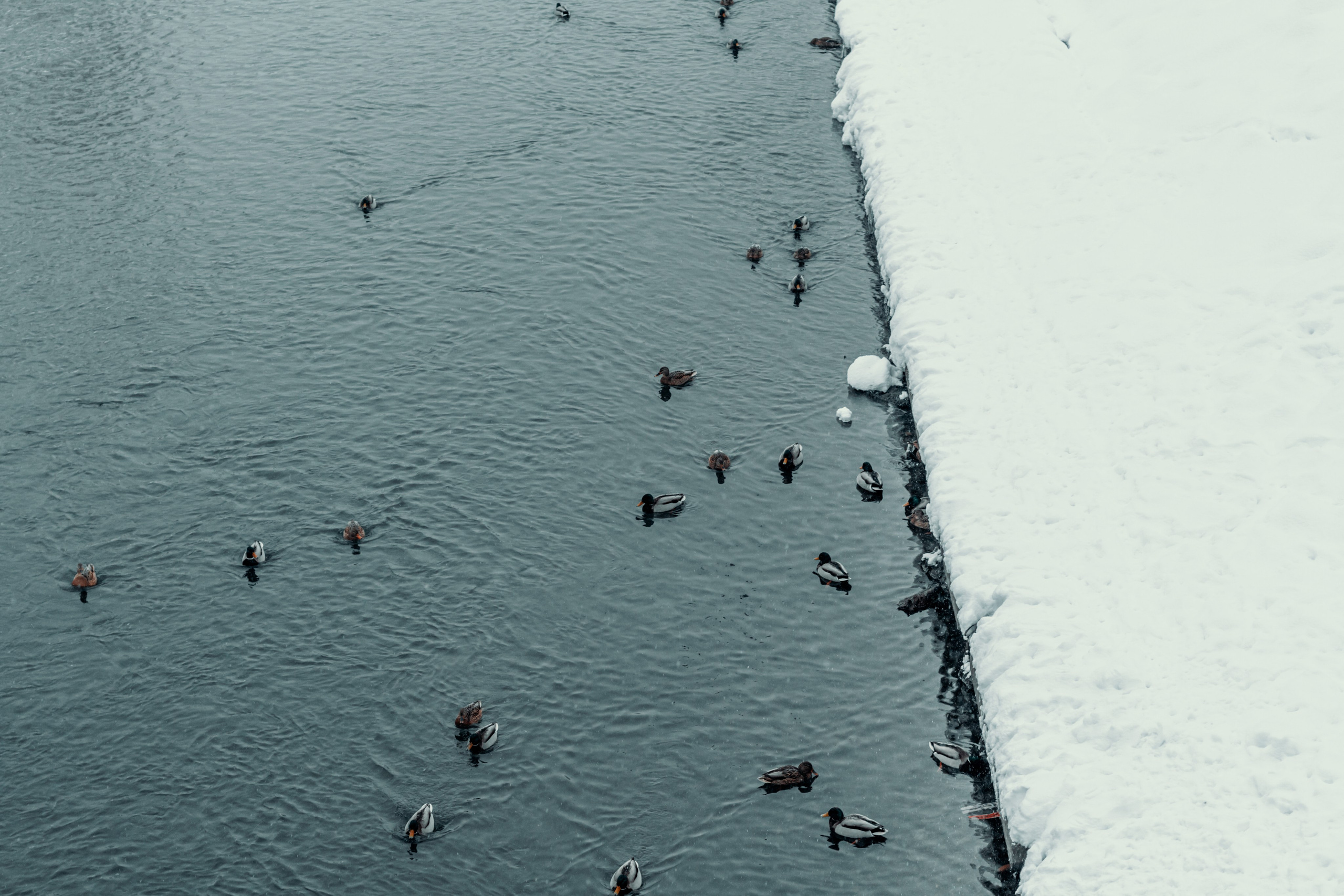 Новокузнецк. Фотограф в Новокузнецке