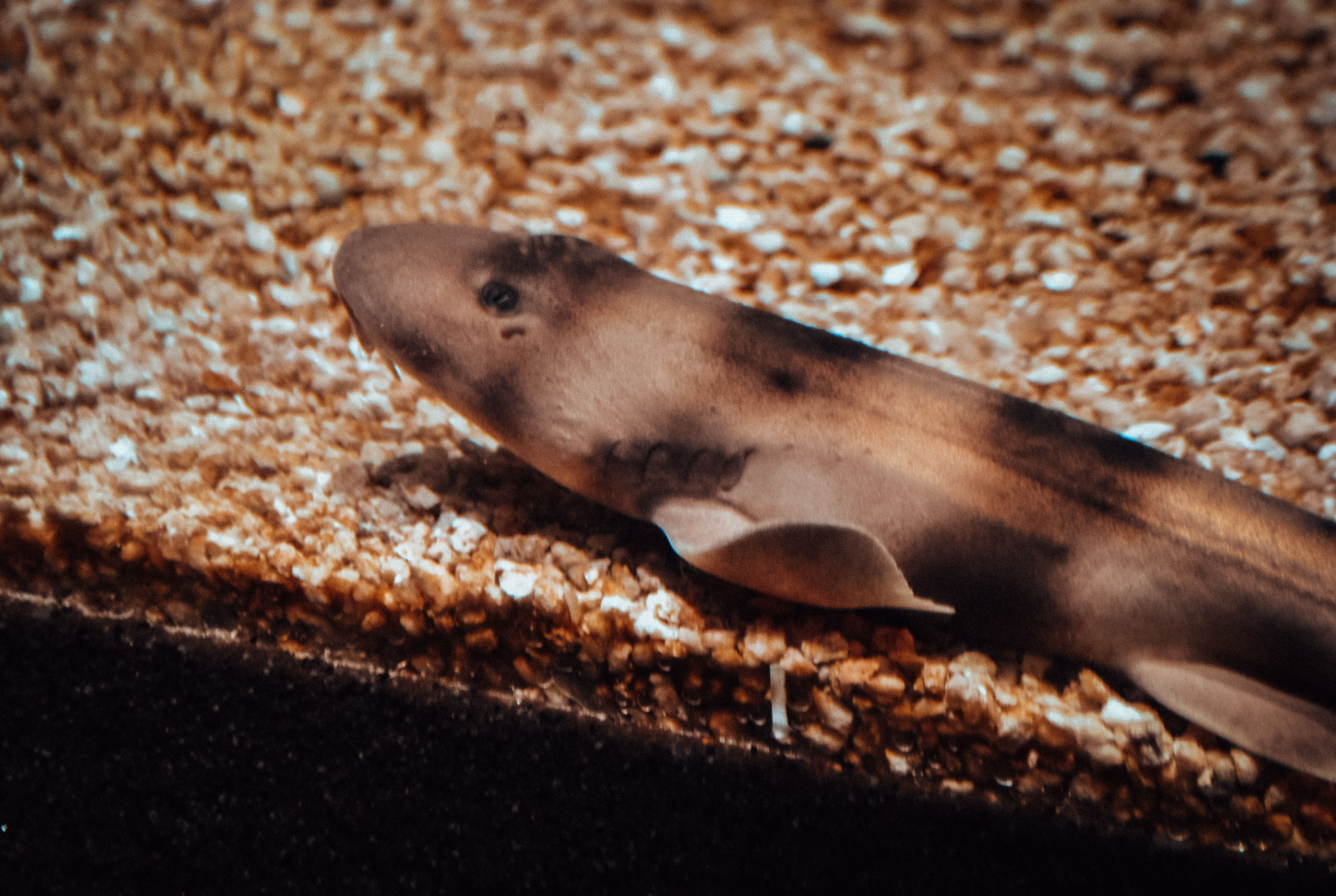 Аквапарк. Портретный фотограф DanilNabody