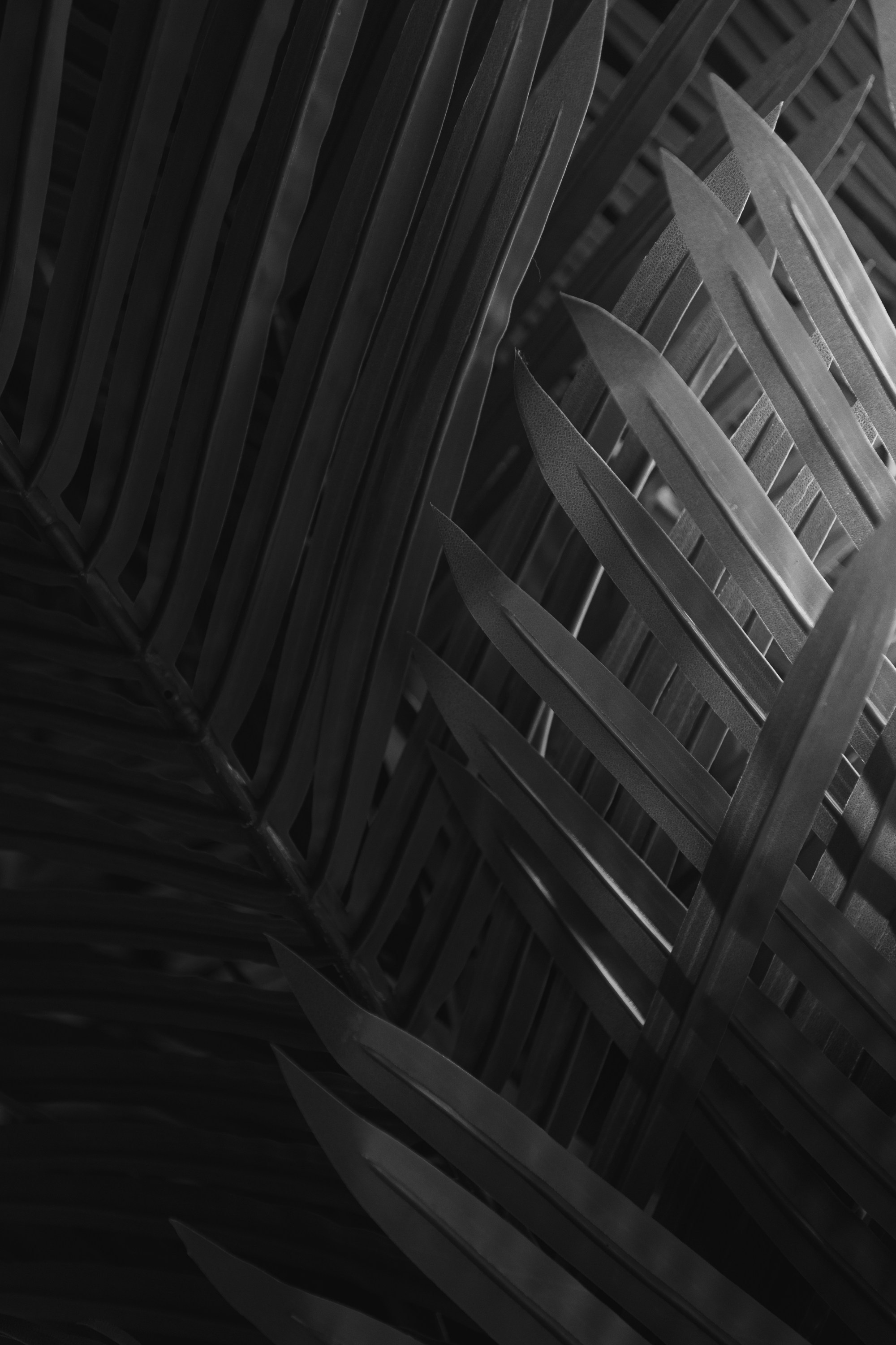 РЕСТОРАНЫ. Контент фотограф в Москве Ник Фрост