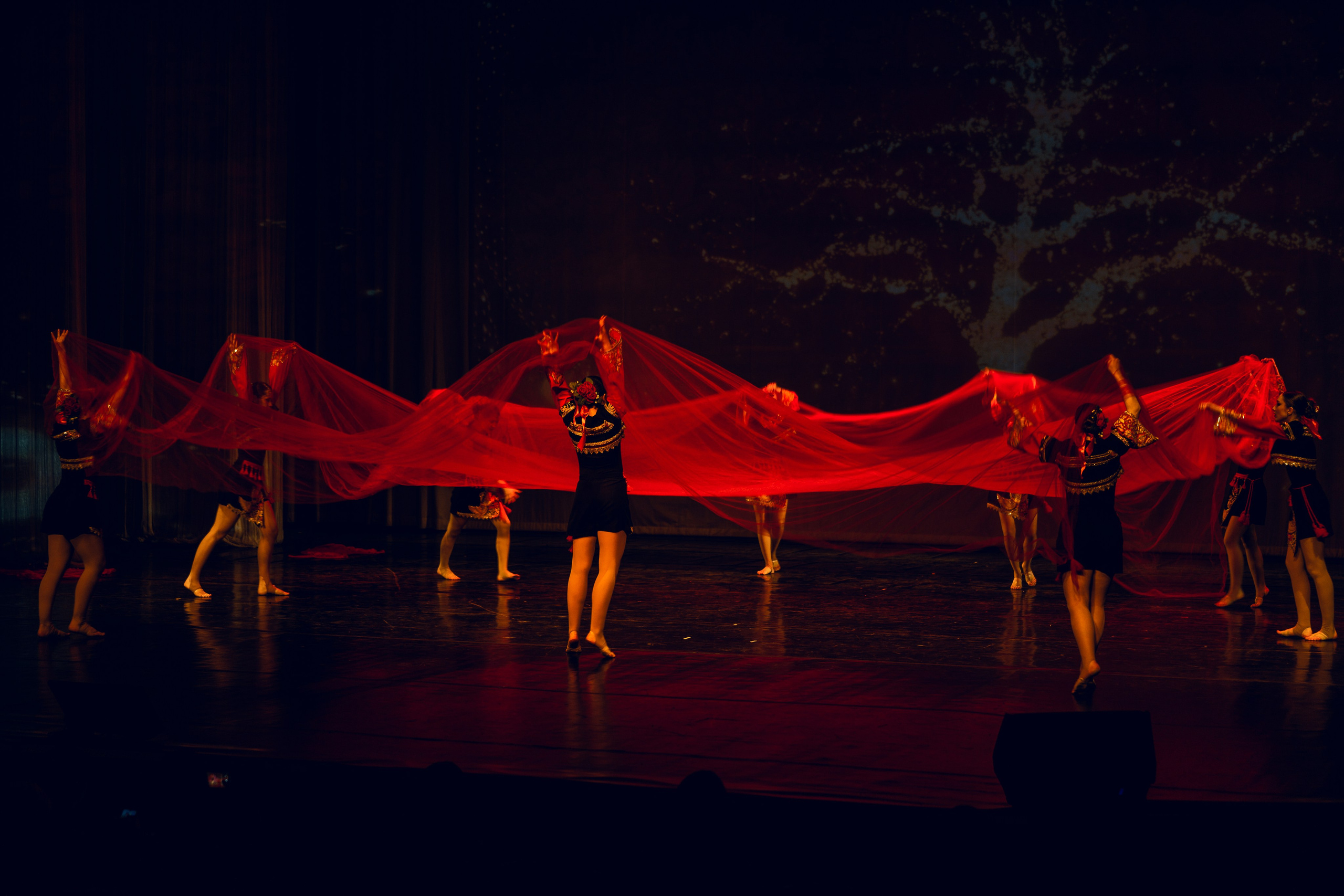 Гала-концерт «Путь к мечте». Tatyana Dubova. Portrait and Family Photographer, Saint Petersburg