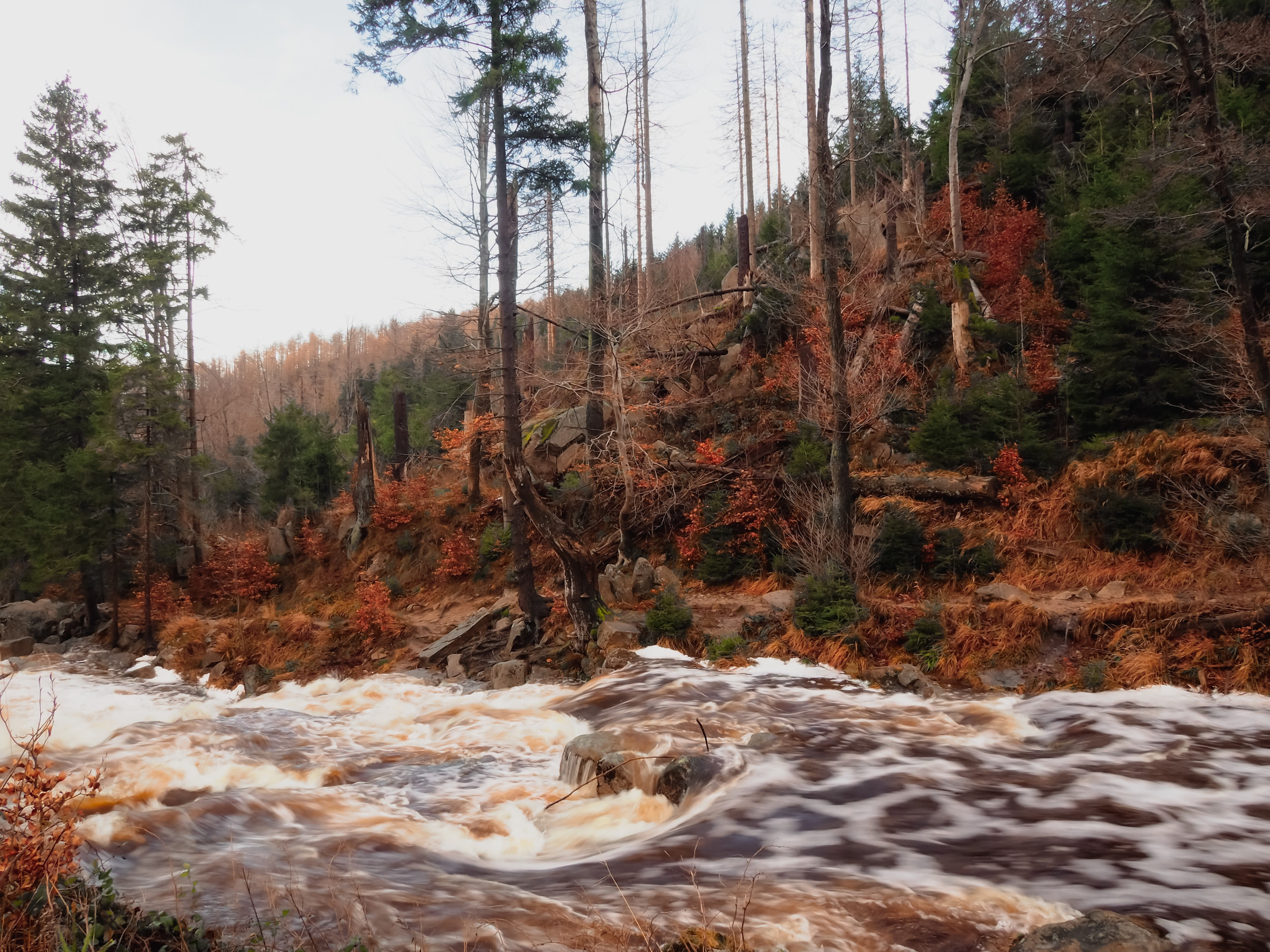 Харц. Германия. Репортажный фотограф в Берлине Александра Герман