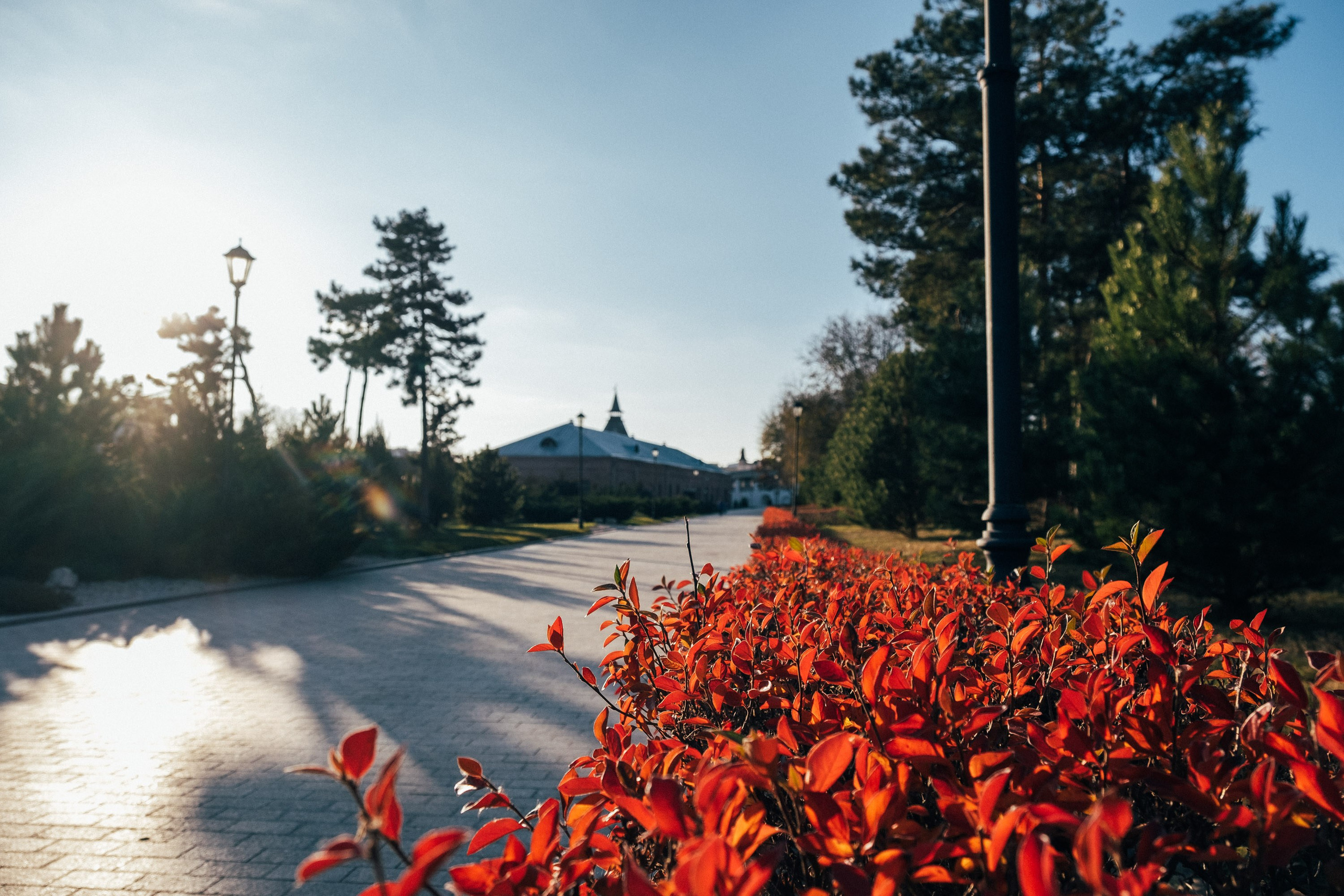 19.11.14. Фотограф Анатолий Деникин