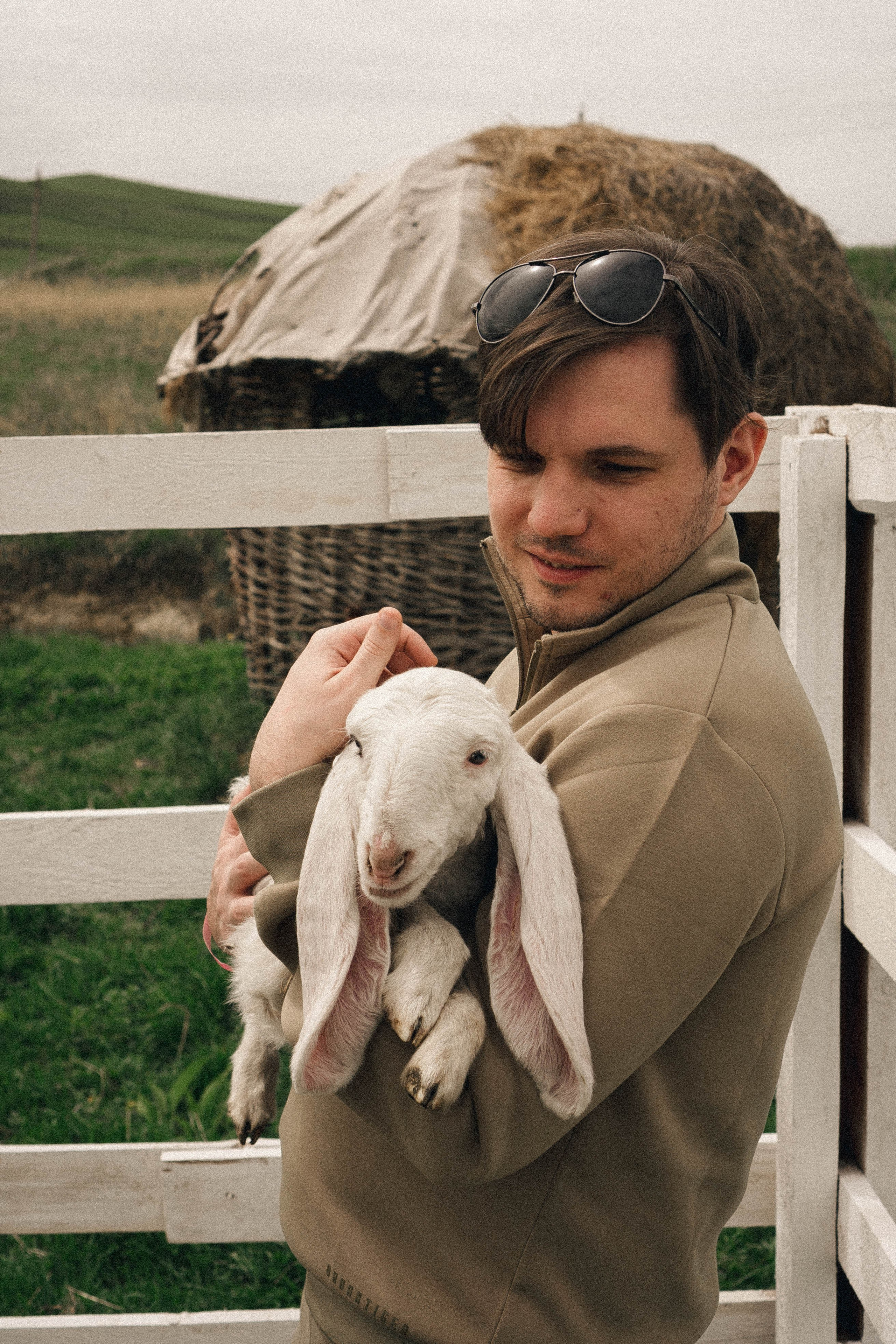 Ферма Альпак. Профессиональный фотограф, Санкт-Петербург — Виктория Богомолова