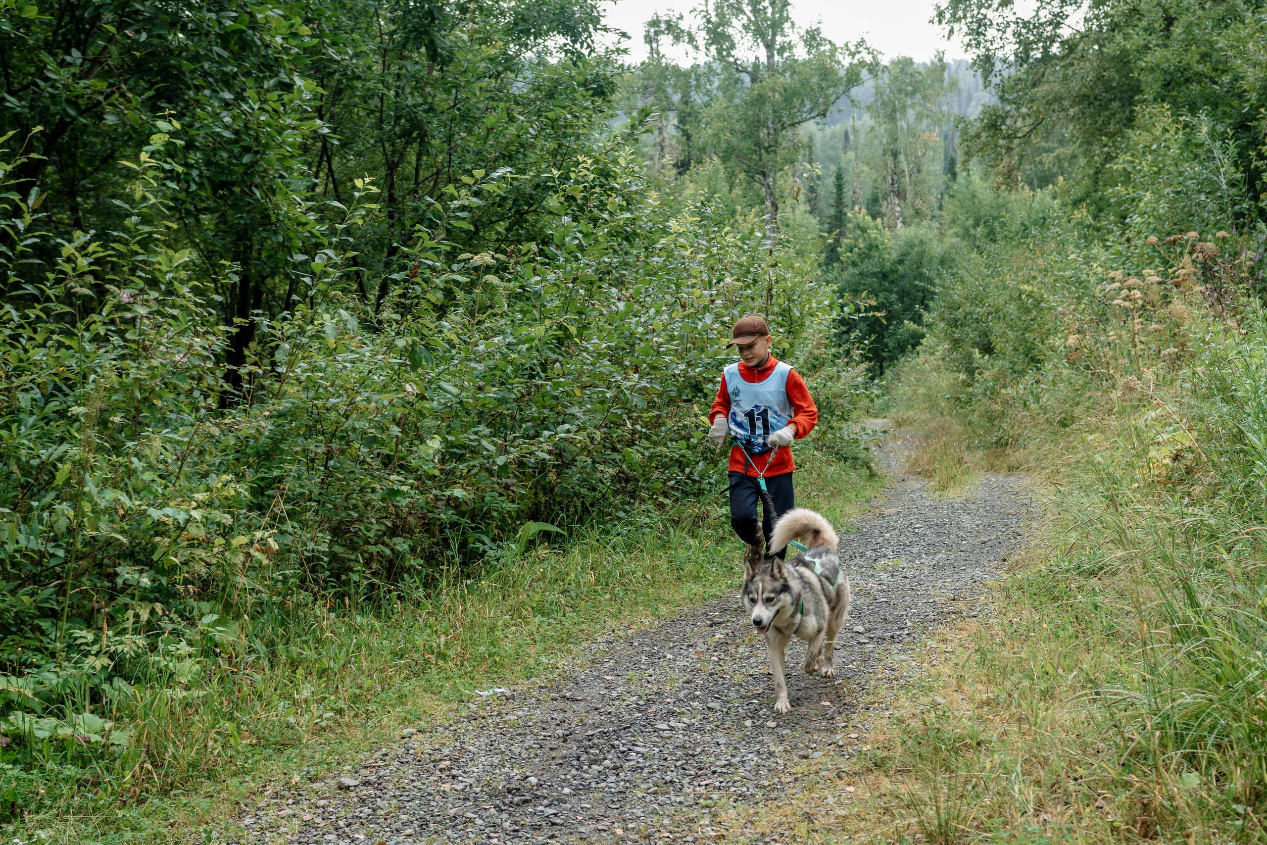 Дог-треккинг