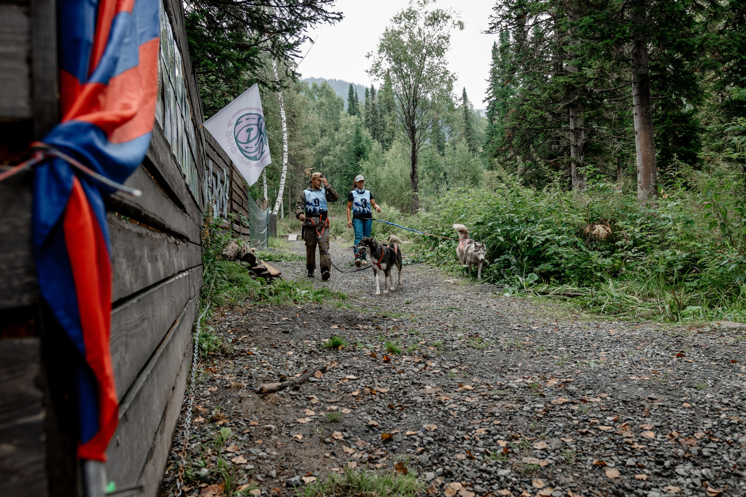Дог-треккинг