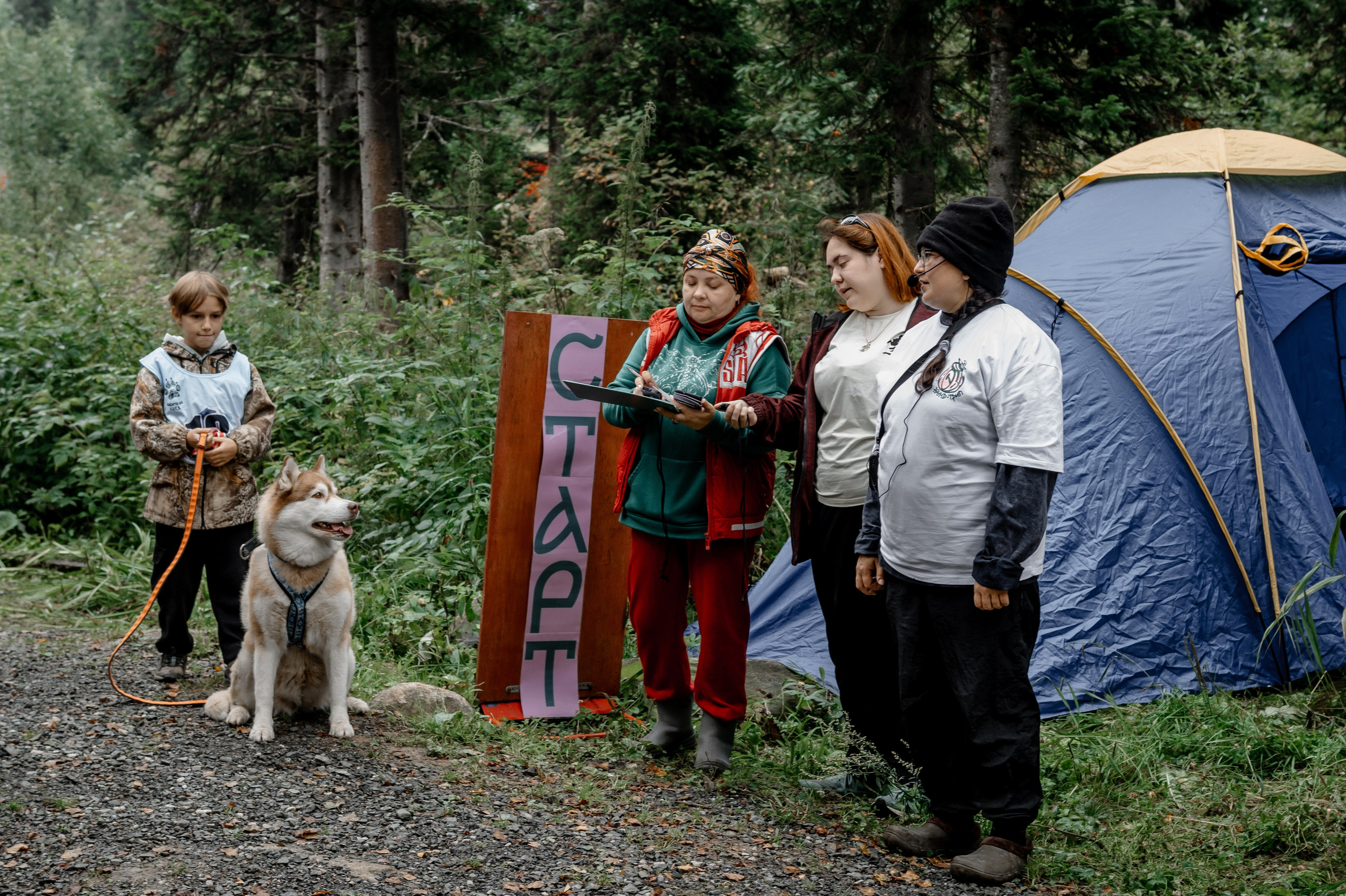 Дог-треккинг