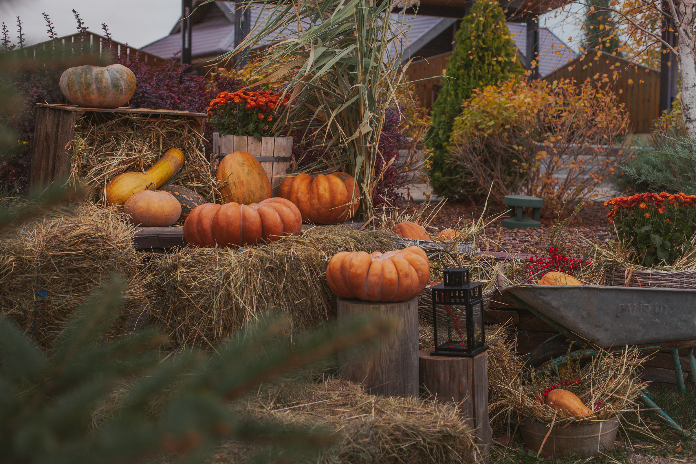 Контент для загородного клуба Hunterburg. Женский и детский фотограф в Ростовской области Инна Романова