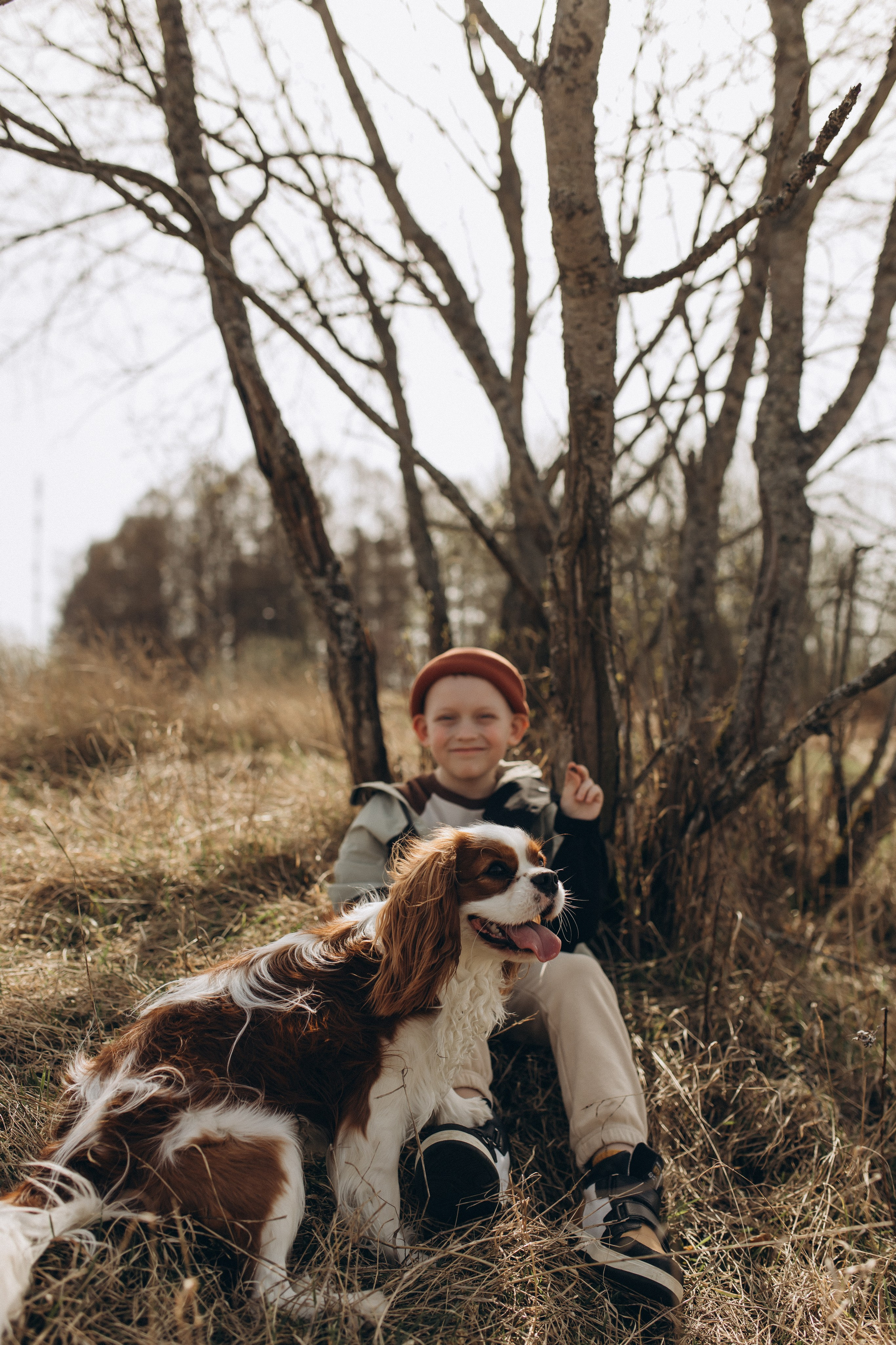 Николай, Елена, Тимофей и Арчи. Услуги