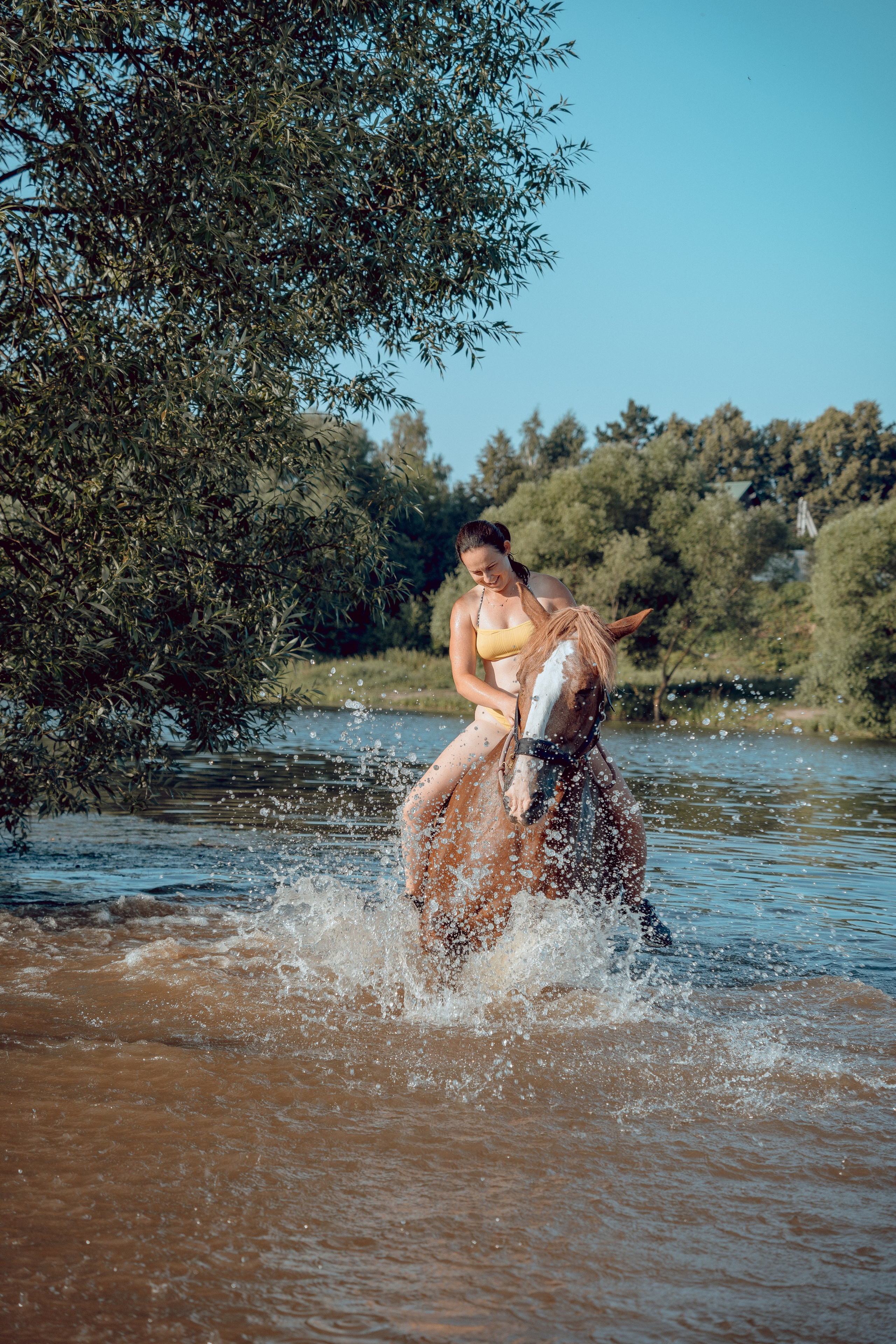 Купание лошадей 05.07.2024. Портретный и семейный фотограф в Москве/Видное