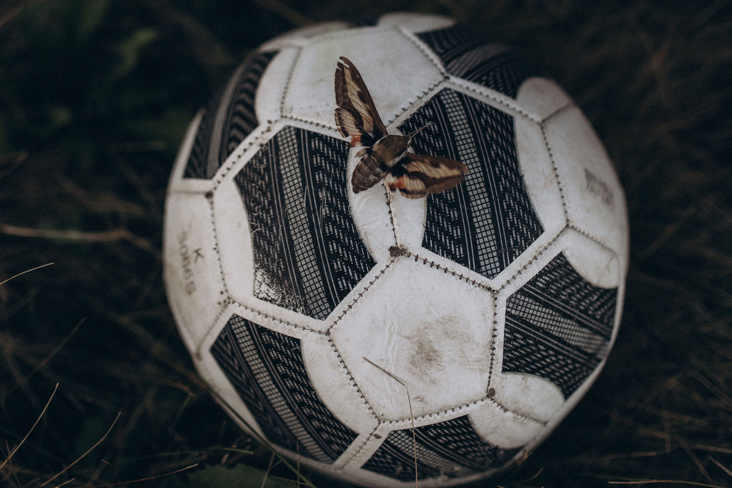 Папа и дети. Семейный фотограф lifestyle в Новосибирске Елена Шпилевая