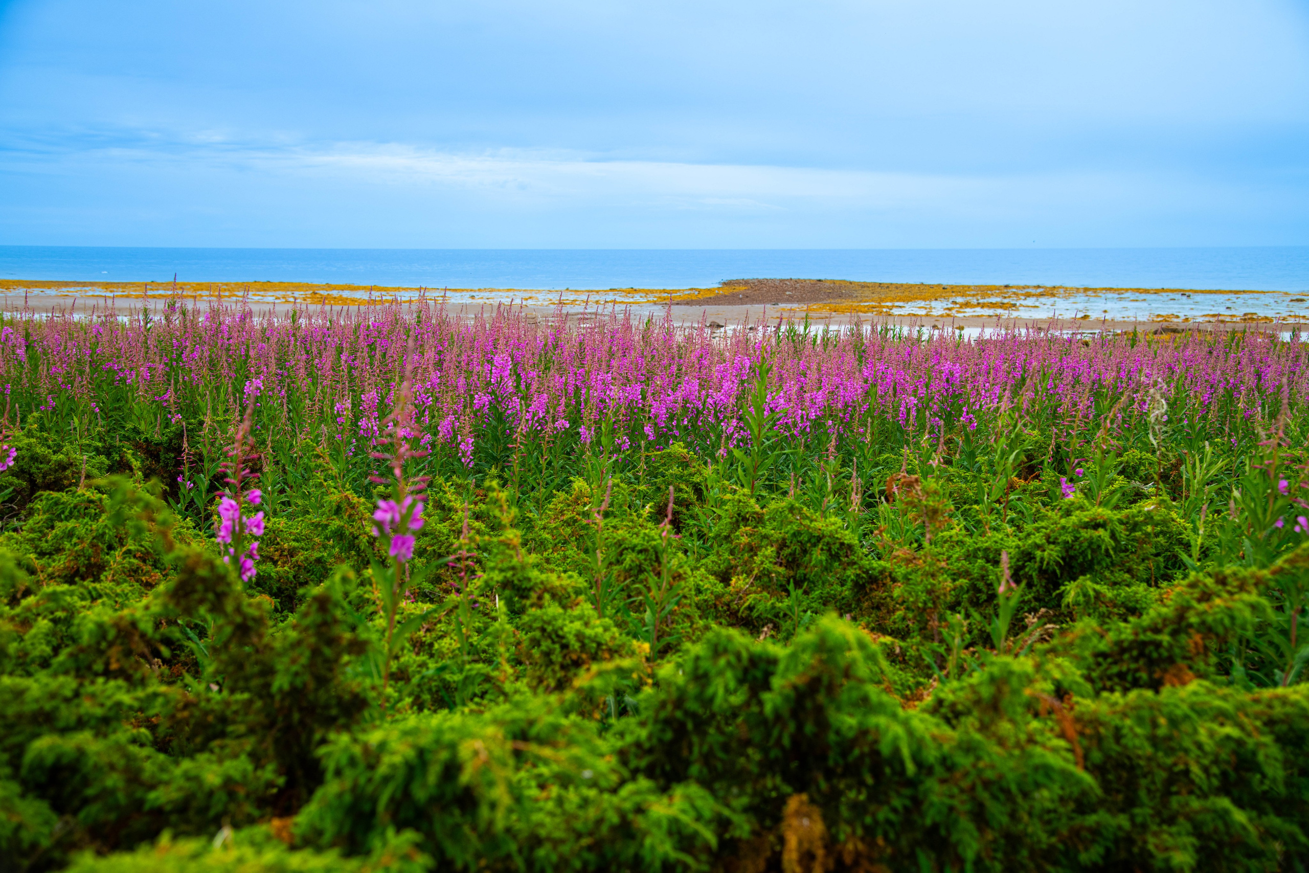Кольский полуостров. Фотографирую для себя, своей семьи и друзей!